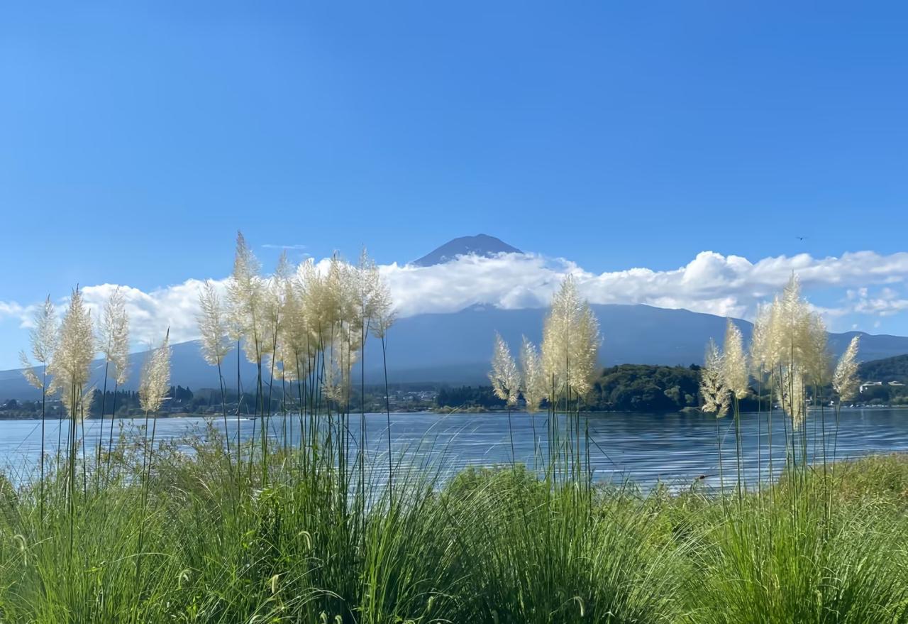 富士山全景一日遊 （東京出發）