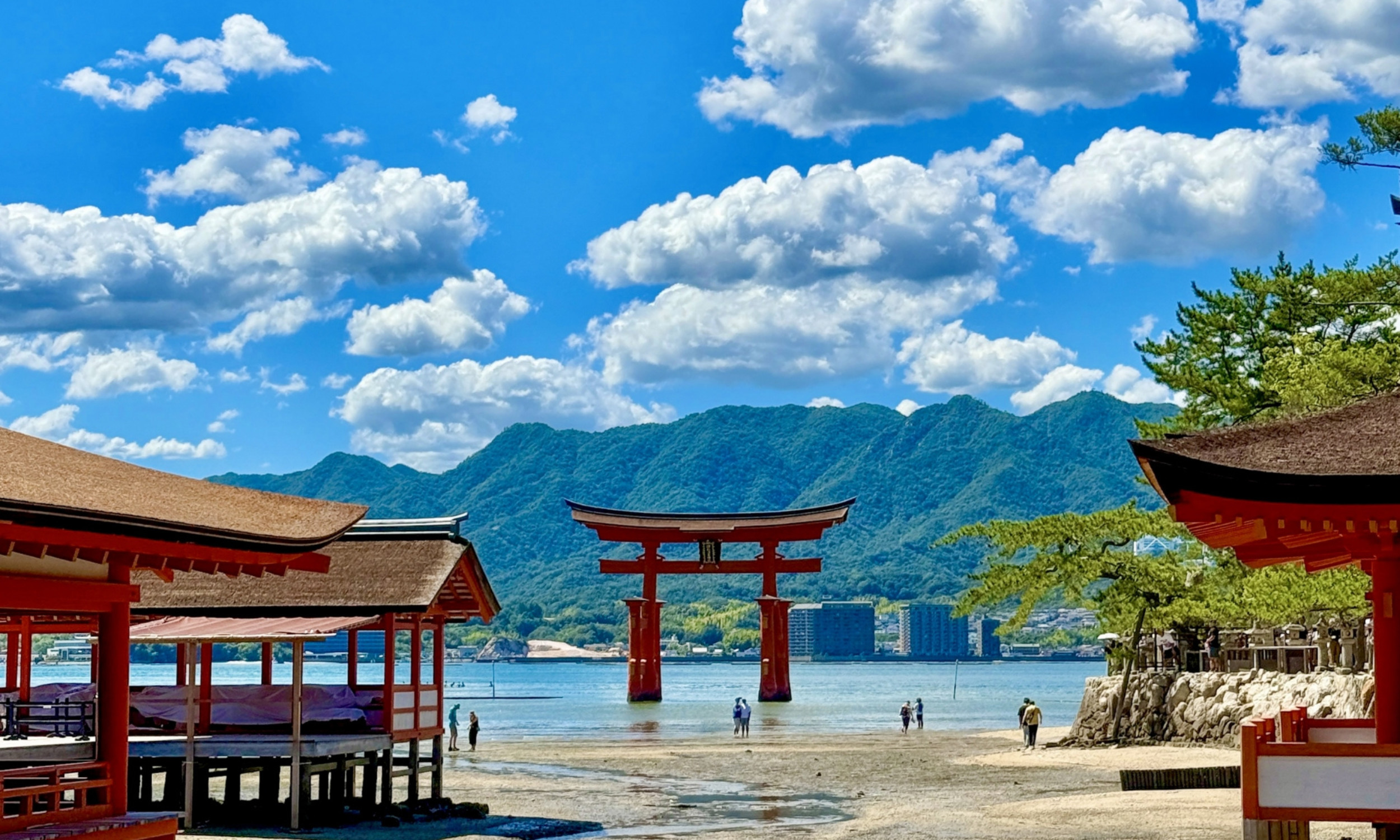 Miyajima Itsukushima Shrine Half-Day All-Inclusive Exploration