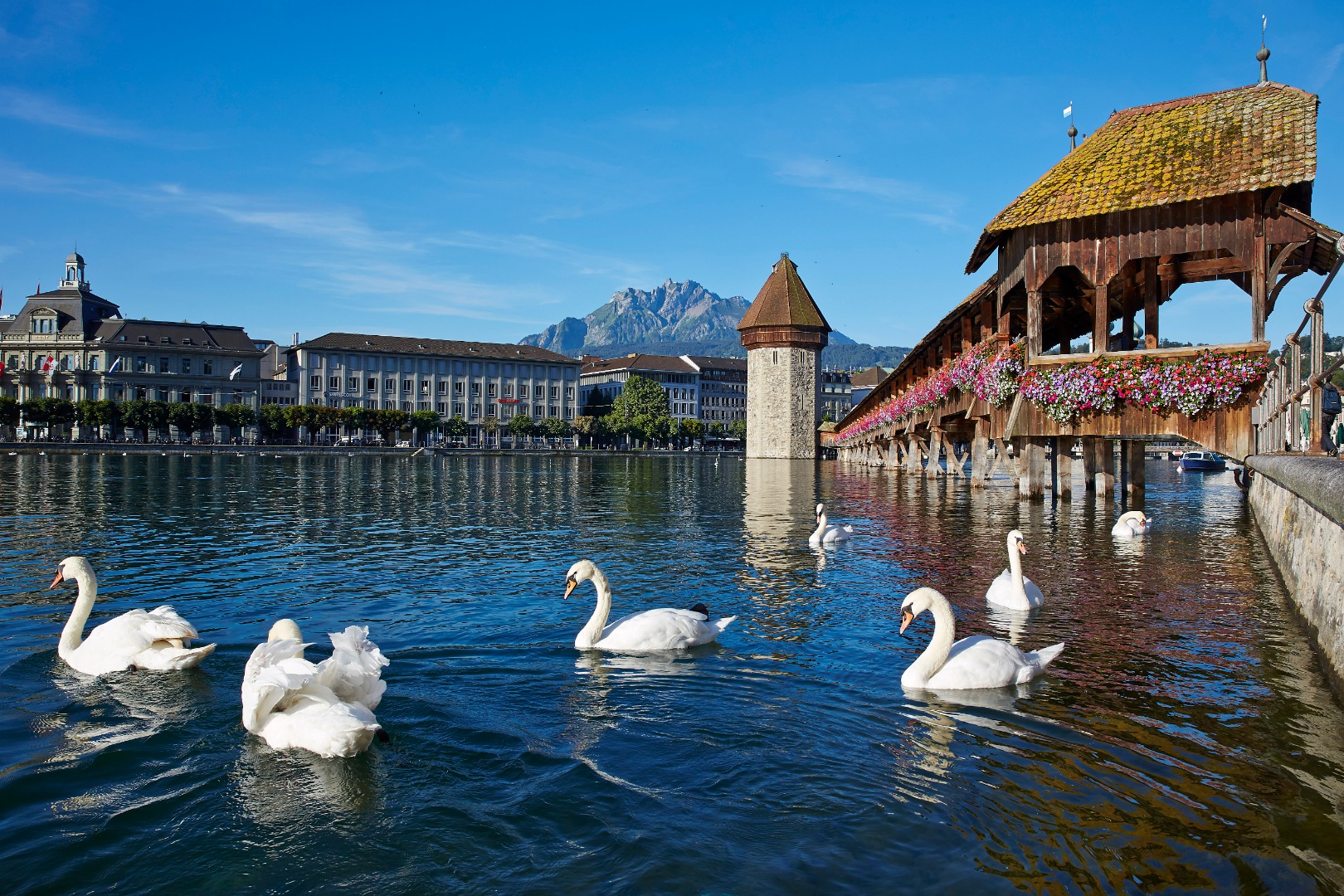 Lucerne City Tour and Yacht Cruise from Zurich
