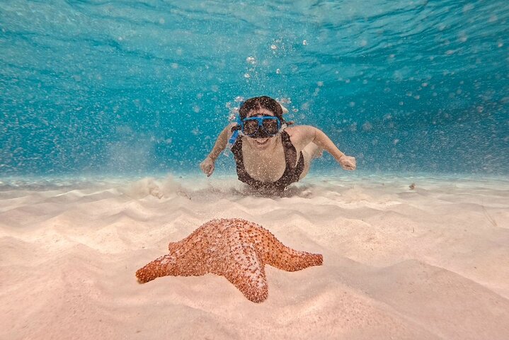 Cozumel Snorkeling Tour to Palancar & El Cielo