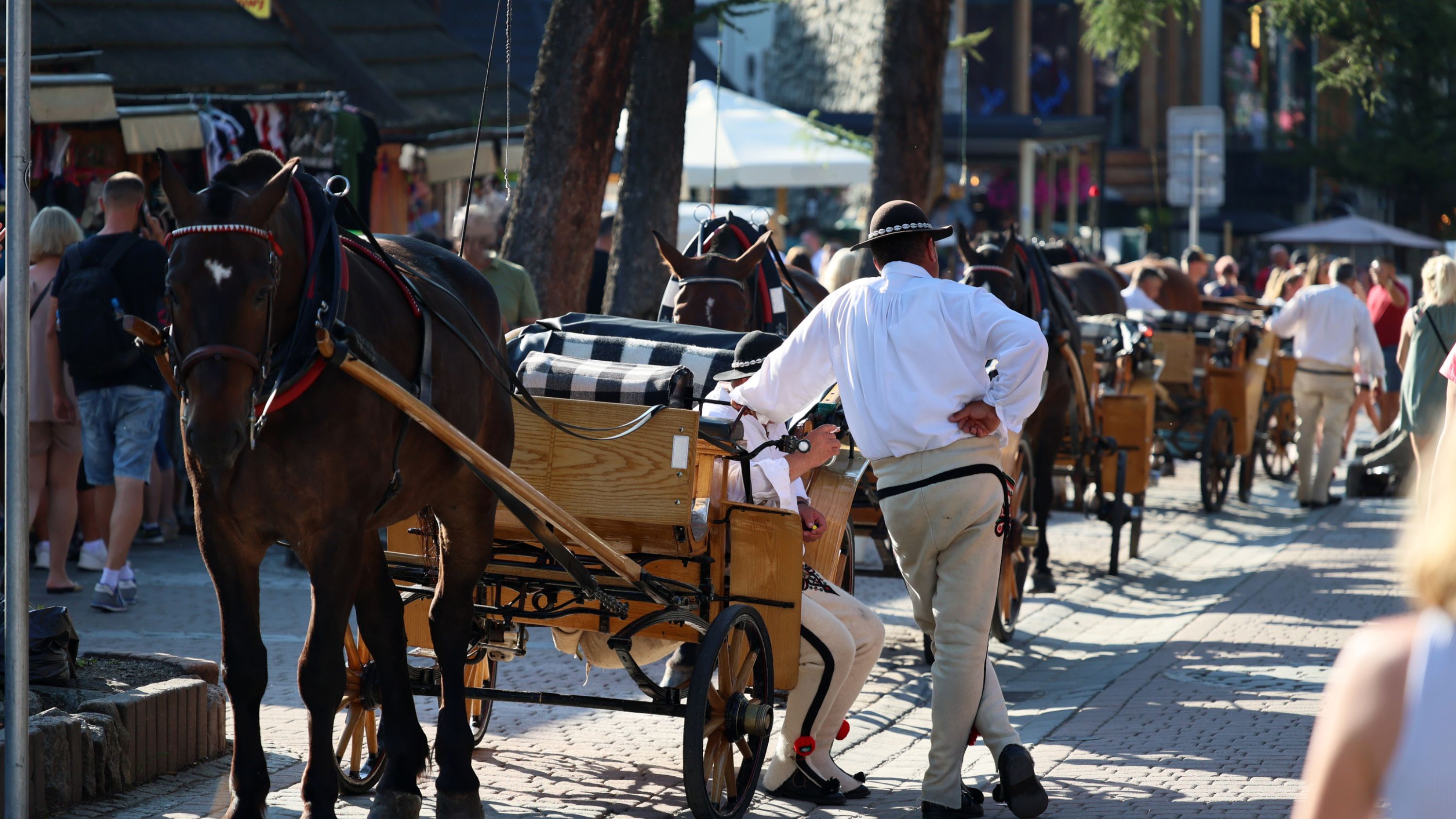 Zakopane with Gubalowka funicular ride tour from Krakow