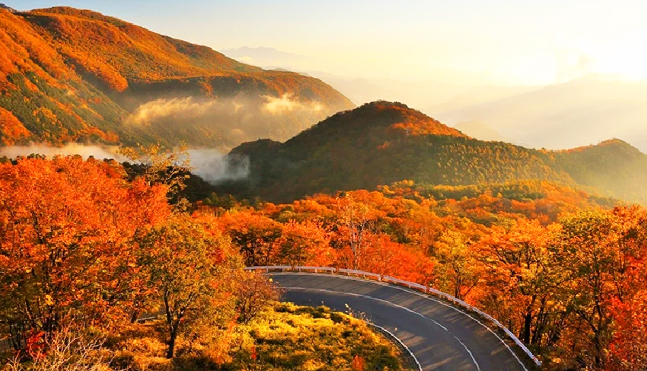 東照宮&伊呂波山道&明智平空中纜車&展望臺&中禪寺湖&華嚴瀑布