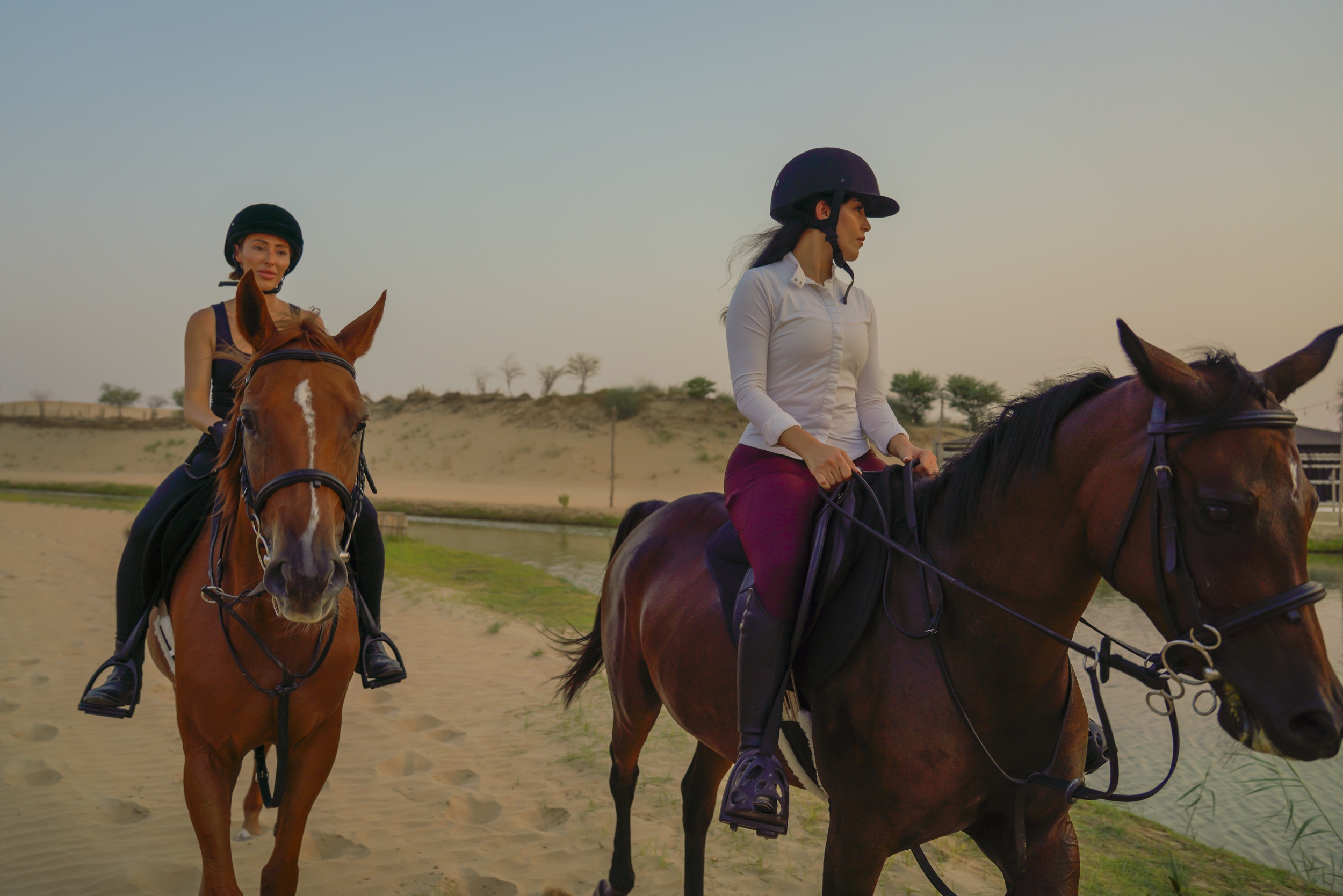 Dubai: Horse Riding Experience with Snack at Al Marmoom Oasis