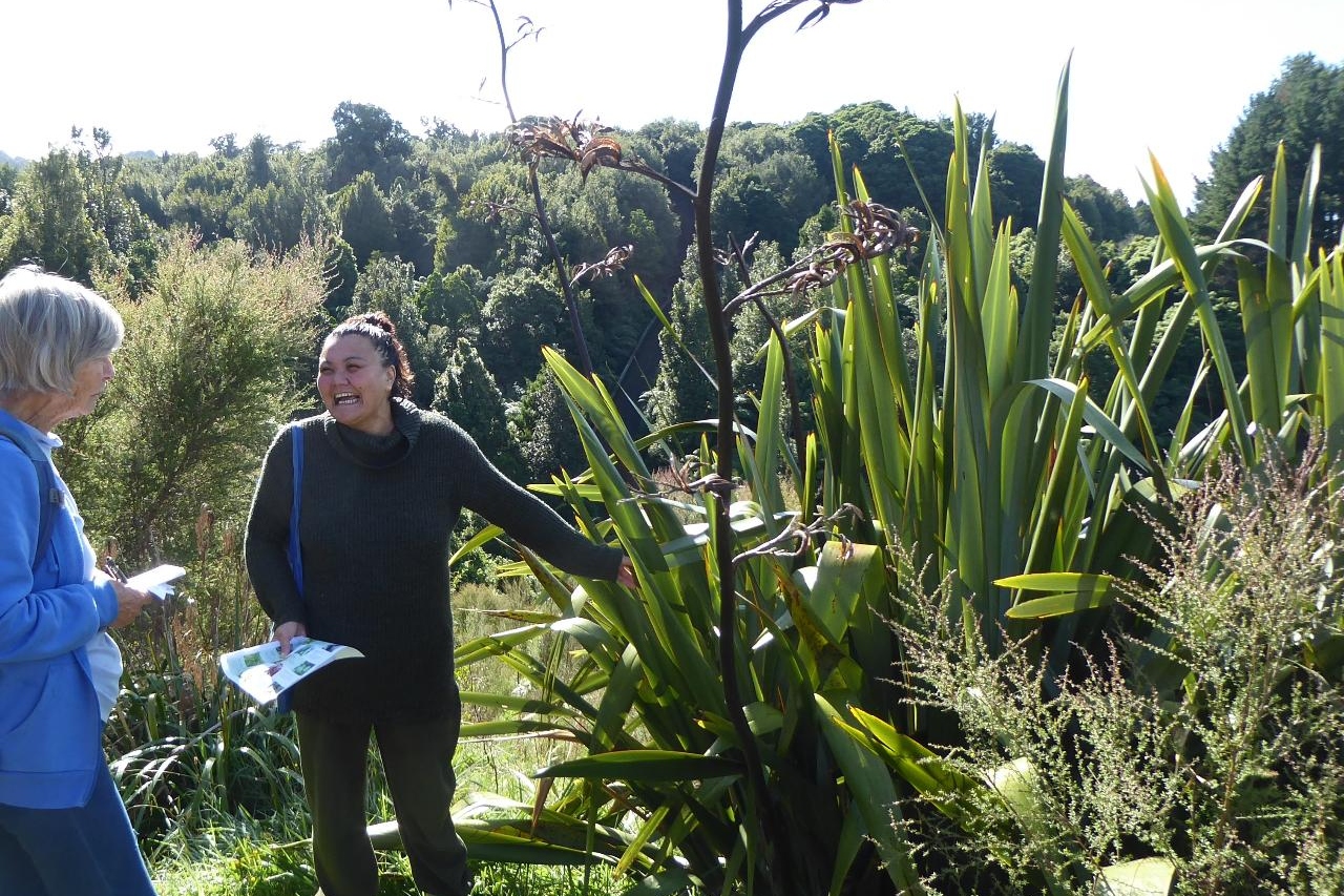 Rongoa Rakau Introduction Tour