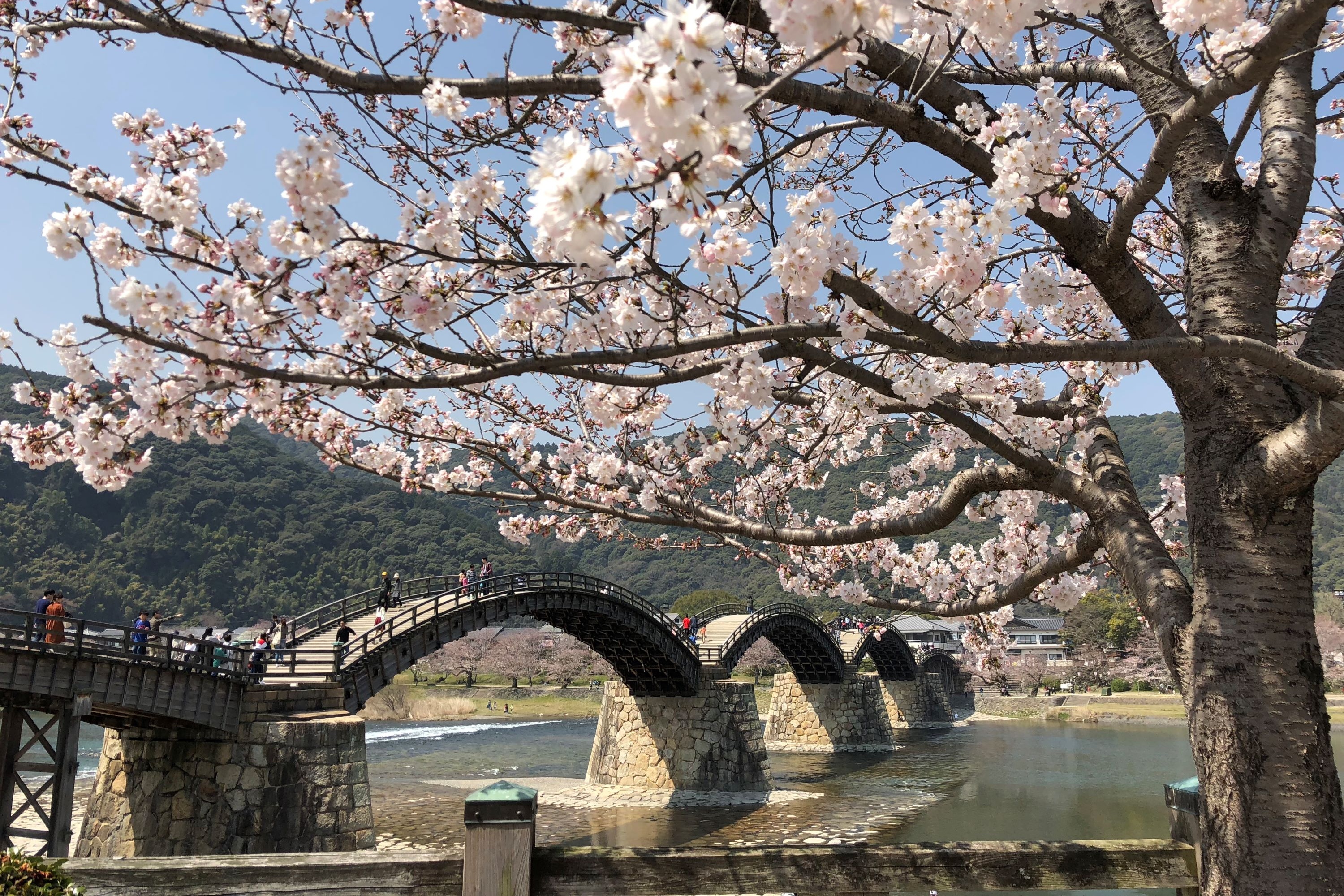 廣島: 9小時私人包車 - 和平公園 & 宮島 & 岩國錦帶橋一日遊 (廣島市內出發)