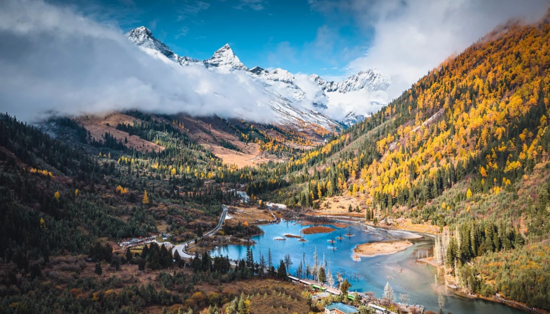 春意盎然的雙橋溝，首先映入眼簾的便是那漫山遍野的山花。它們像是一群迫不及待迎接春天的精靈，你追我趕地綻放著