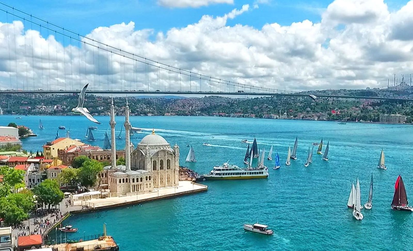 伊斯坦布爾兩大洲之旅（含巴士 & 博斯普魯斯海峽遊船）