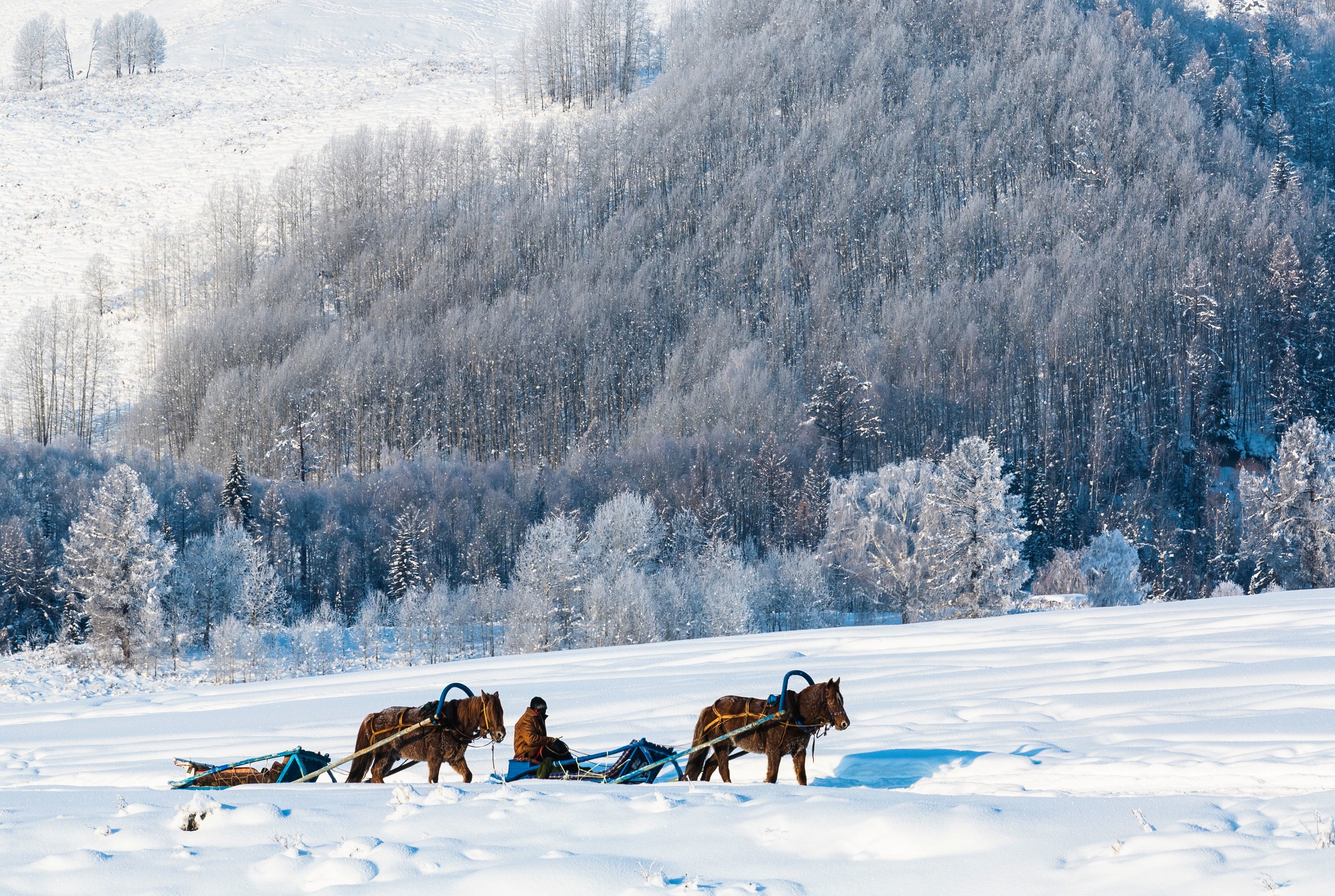 Northern Xinjiang Winter Xinjiang Powder Snow Altay 7 Days