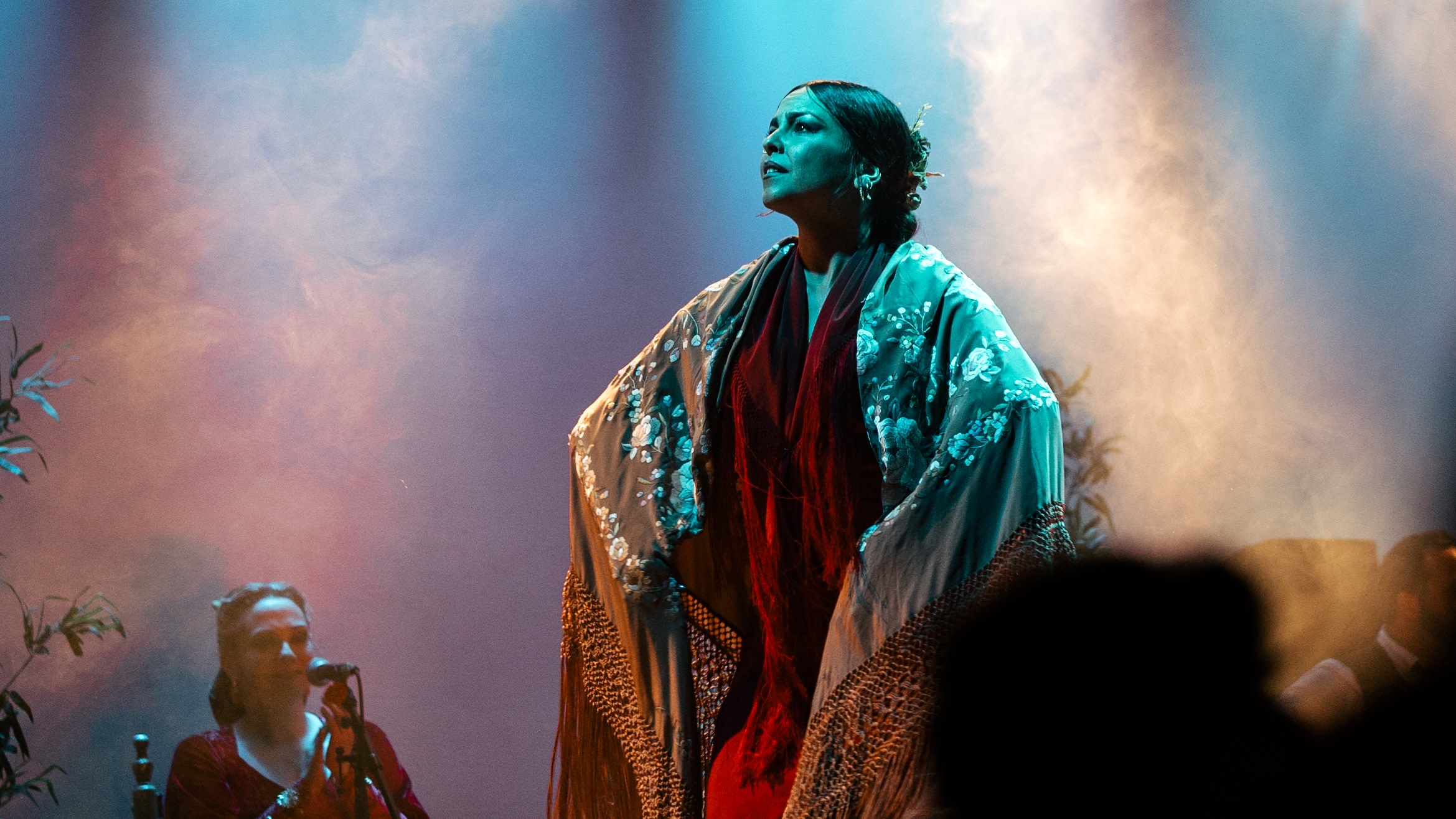Flamenco Show Ticket at City Hall Theatre in Barcelona
