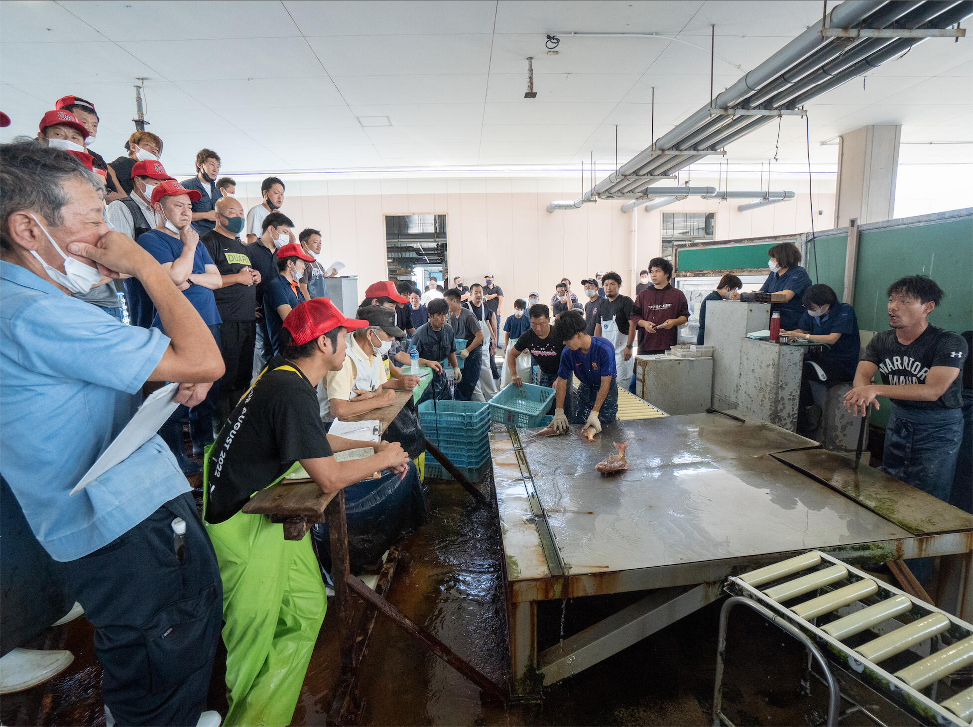 Akashi Half-day Seafood & Distillery Tour