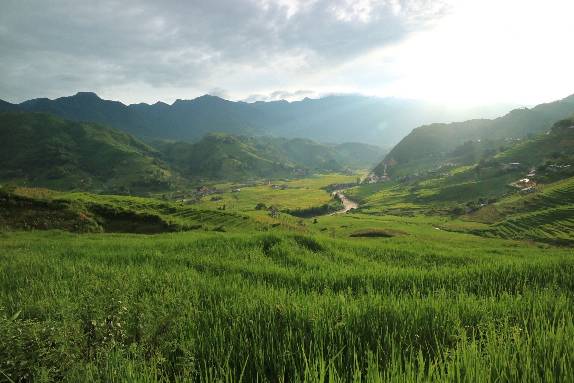 沙巴：紅瑤族草藥足浴和採葉之旅