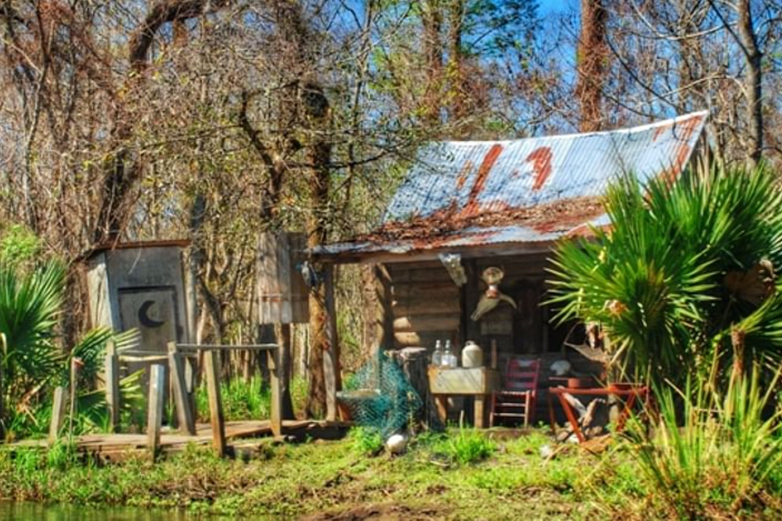 Swamp Boat Ride and Oak Alley Plantation Tour from New Orleans