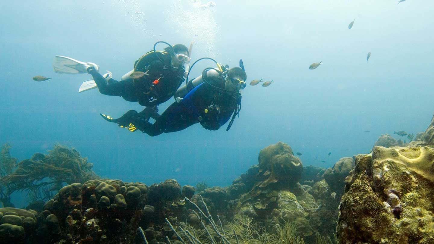 蘭達島進階開放水域潛水員體驗（PADI五星級潛水中心）