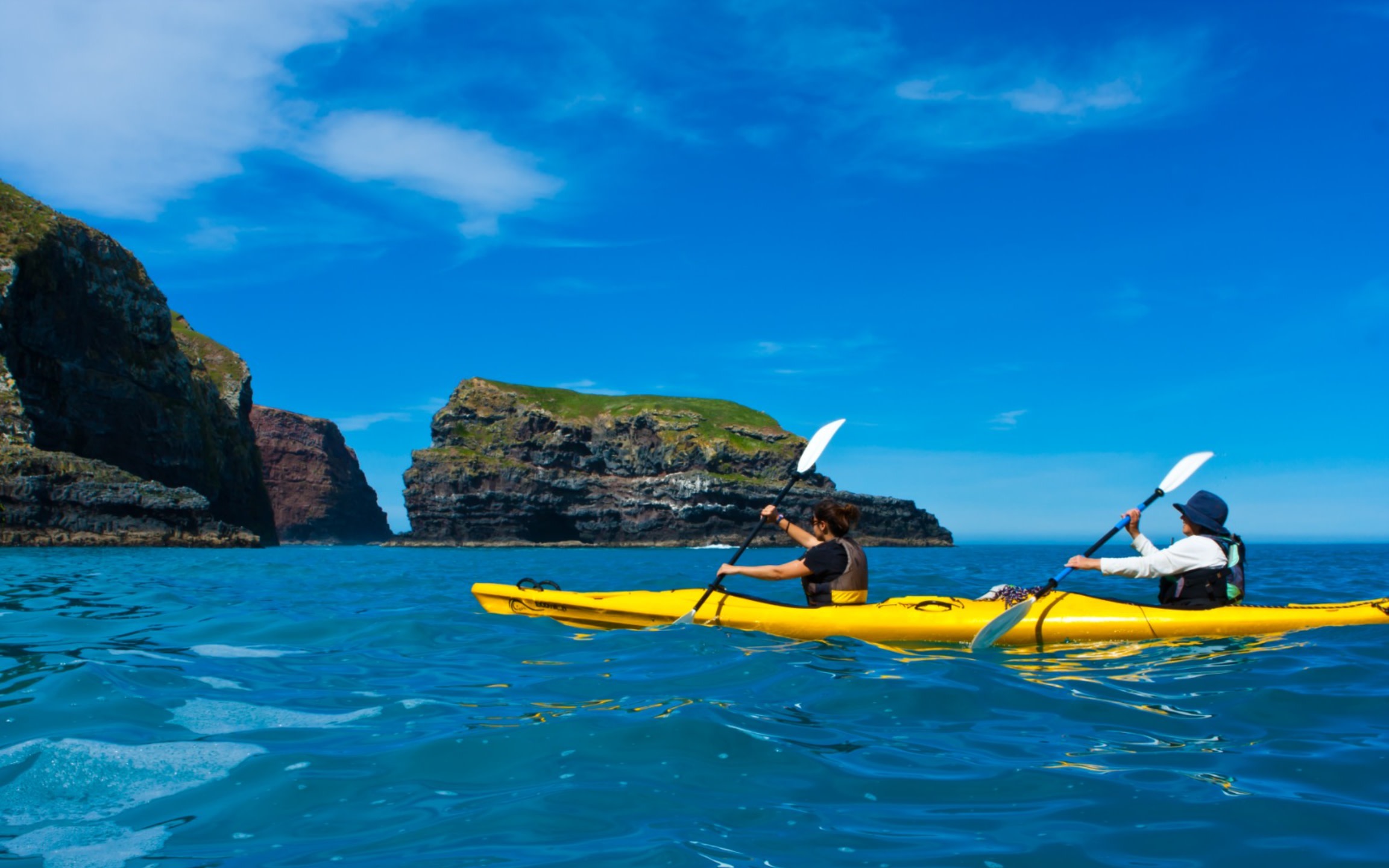 Kayaking and Safari Tour in Akaroa