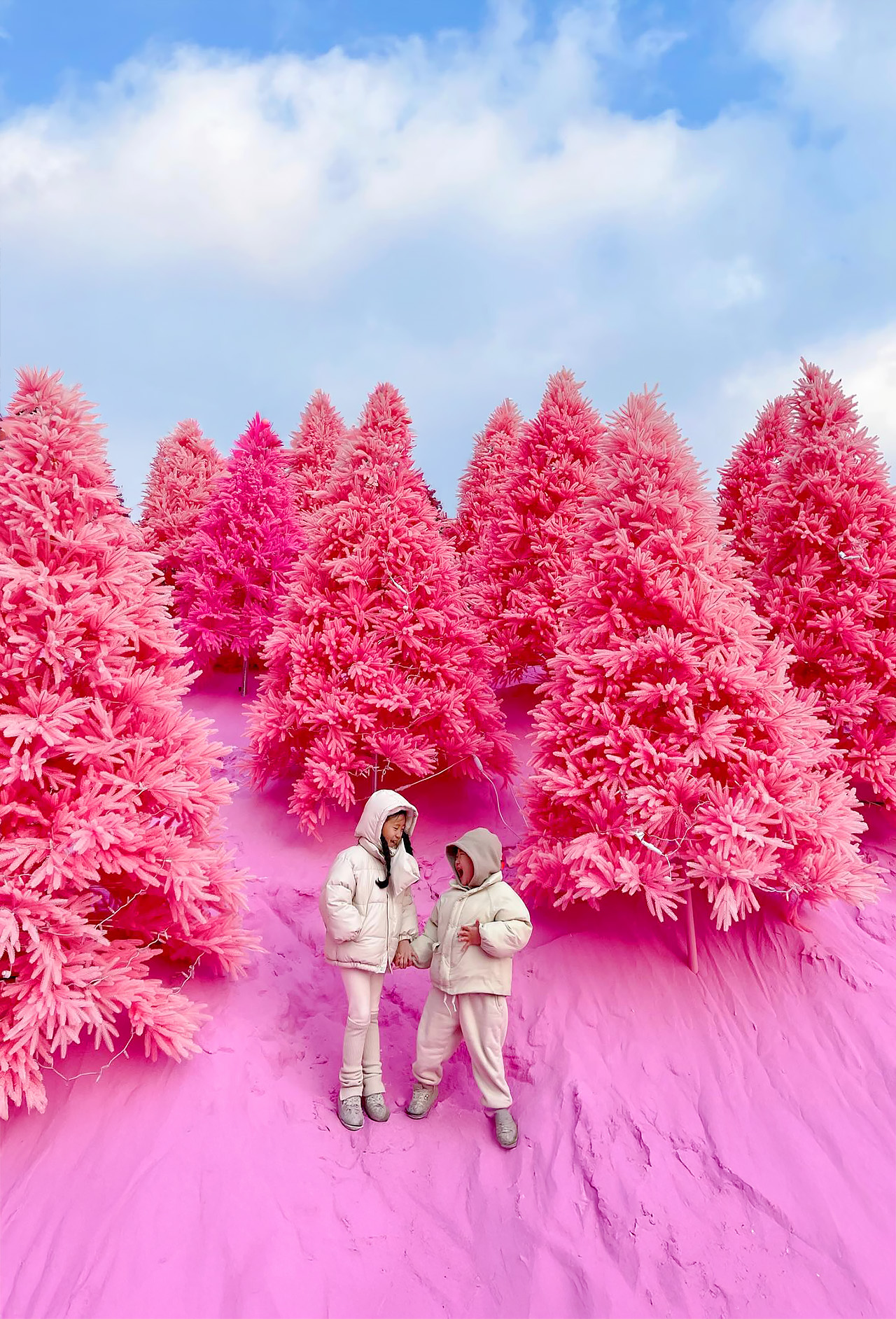 🩷 在這裡，您可以真正享受韓國抱川香草島迷人的粉紅假期！