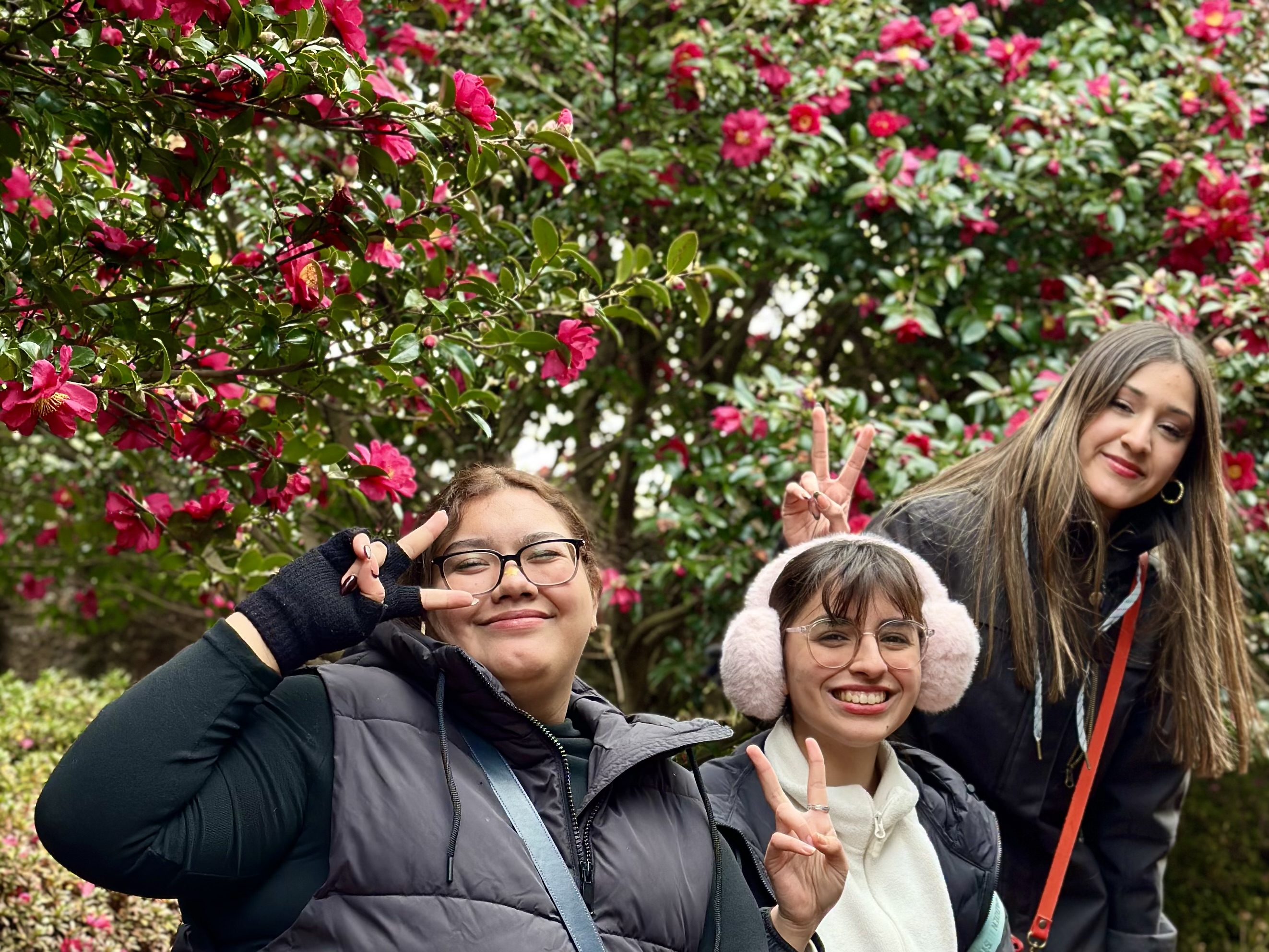 在史努比花園 (Snoopy Garden) 中，完美融合了自然、藝術與懷舊情懷，並被濟州 (Jeju) 的美麗山茶花所環繞。