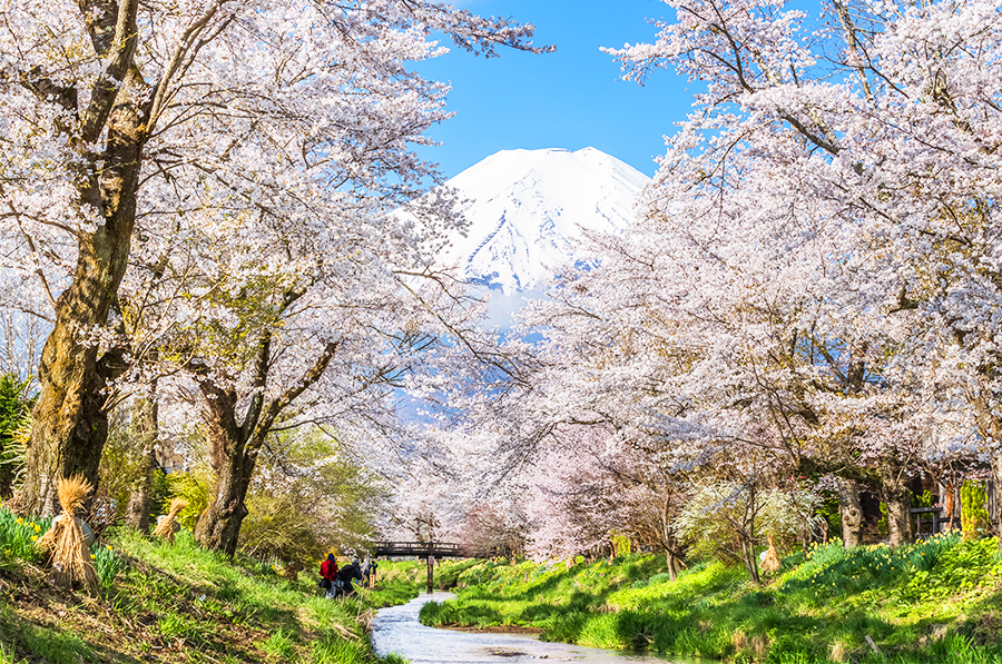 富士山與箱根「水陸空」探索之旅（贈箱根空車纜車　東京出發）