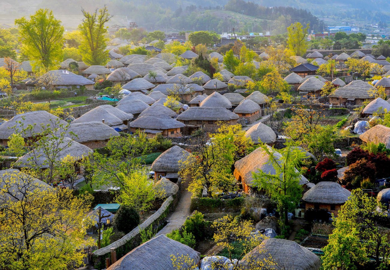 Suncheon Car Rental with Driver to Naganeupseong/Suncheonman Wetland/Suncheonman Bay National Garden  (customized itinerary)