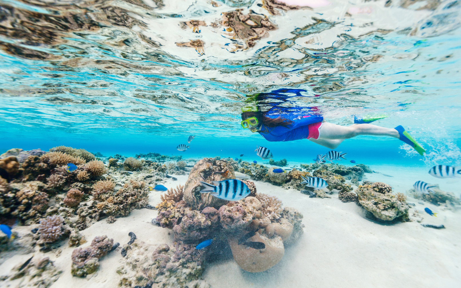 Guided Snorkeling Experience in Tunku Abdul Rahman National Park