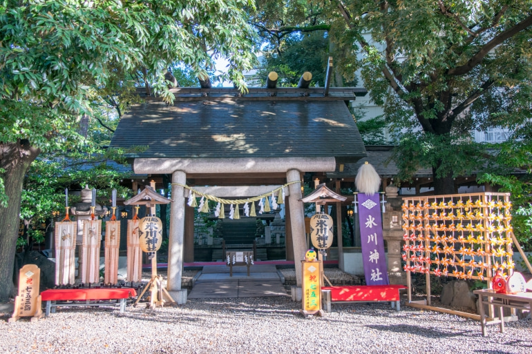 櫻花季限定｜權現堂櫻堤＆小江戶川越＆三櫻花季限定｜權現堂櫻堤＆小江戶川越＆三井Outlet一日遊｜東京出發