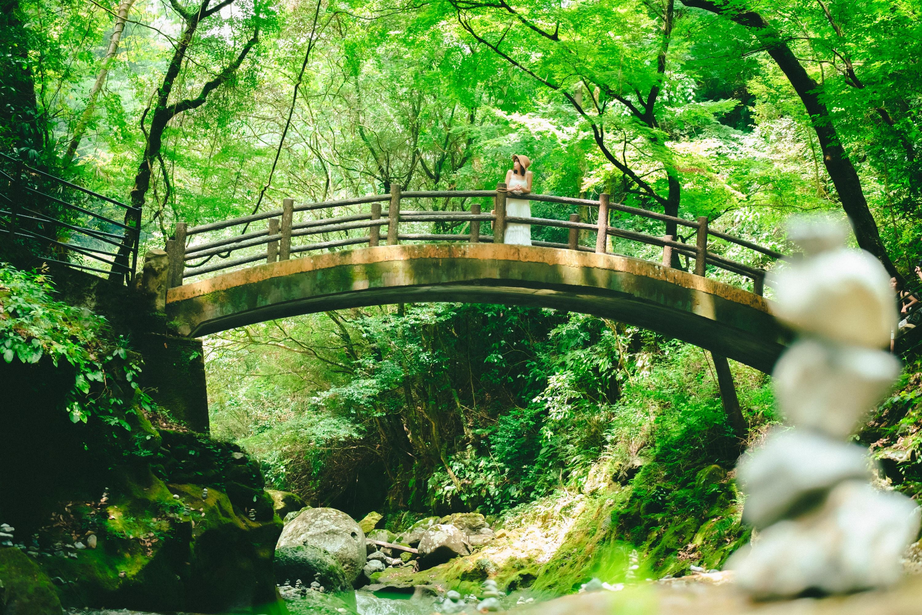 【私人旅遊】從熊本縣出發，前往阿蘇山和高千穗峽一日遊