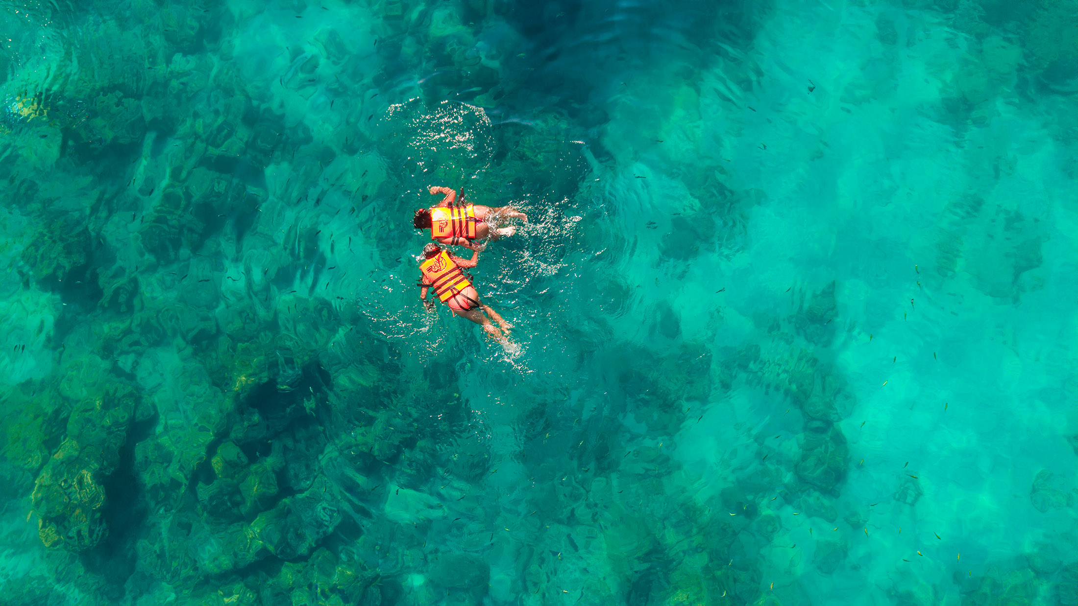 與我們的專業導遊和細心的船員一起享受游泳的樂趣，他們會全程照顧您