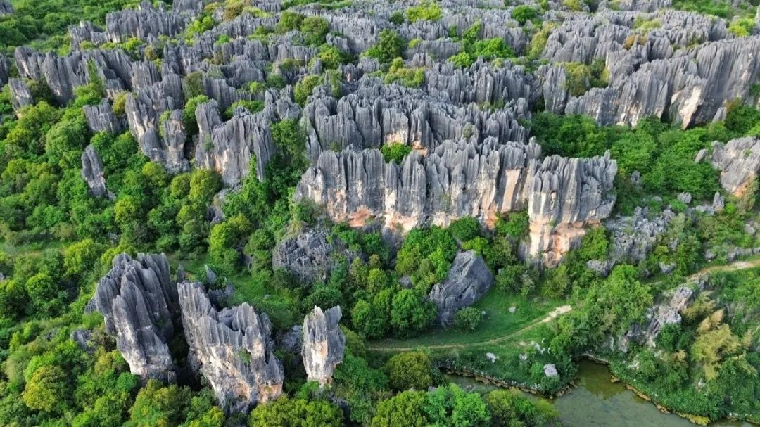 昆明石林風景名勝區+九鄉風景區1日遊（15人精品純玩小團&穿梭地質奇觀+探秘溶洞奇境+尊享純玩之旅 ）