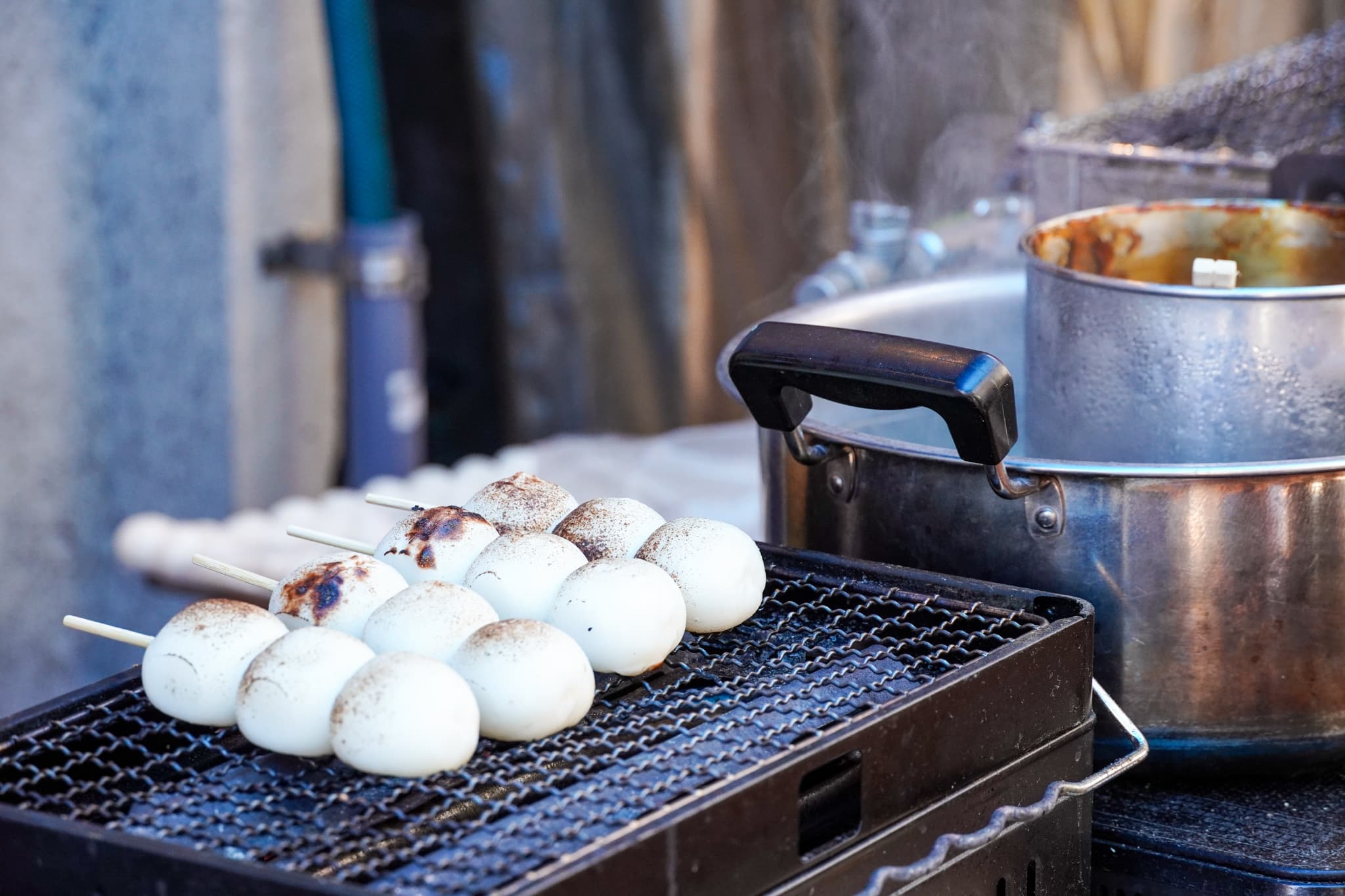 Tsukiji Market Fresh and Seasonal Japanese Delicacies Tour