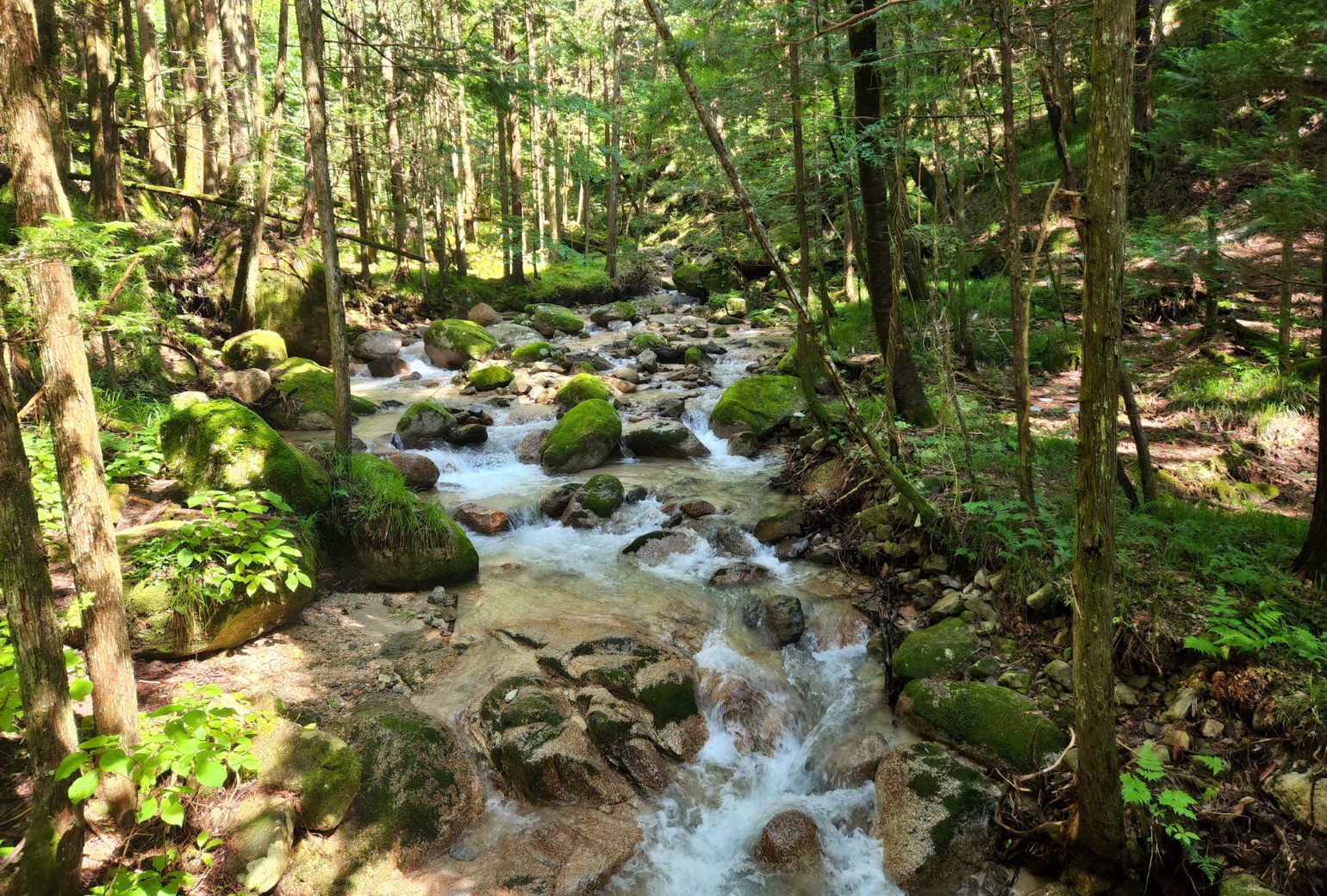 健行於自然資源豐富的中山道 健行於自然資源豐富的中山道