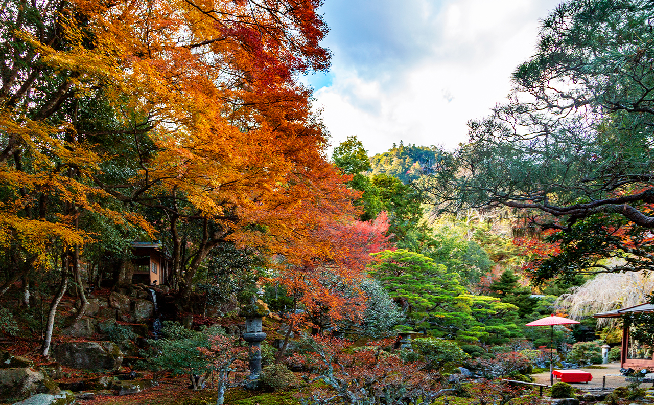 Lake Biwa Observatory, Shirahige Shrine, and Mangetsu-ji Temple Floating Temple Day Trip
