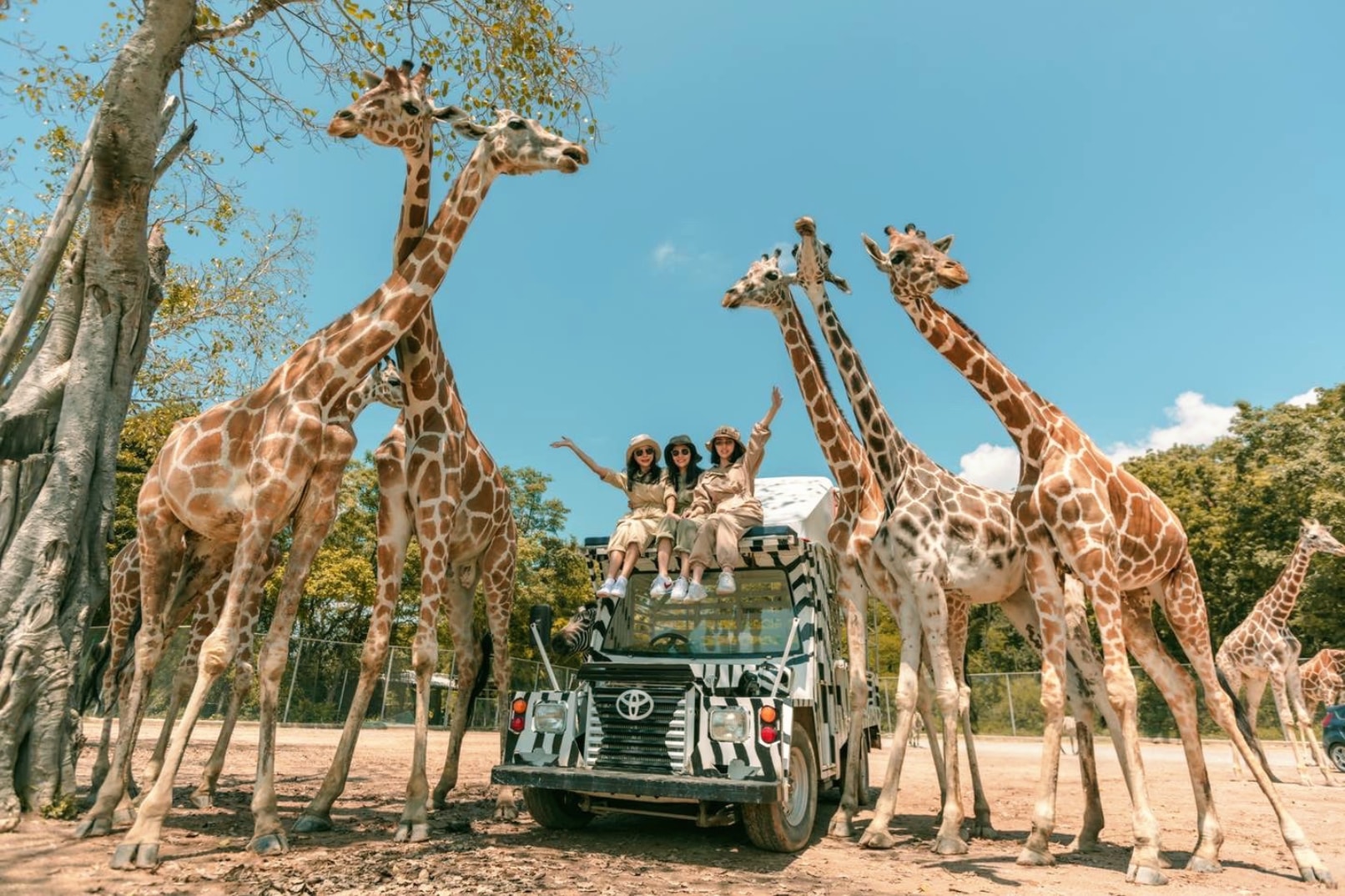 北碧府野生動物園和桂河大橋一日遊