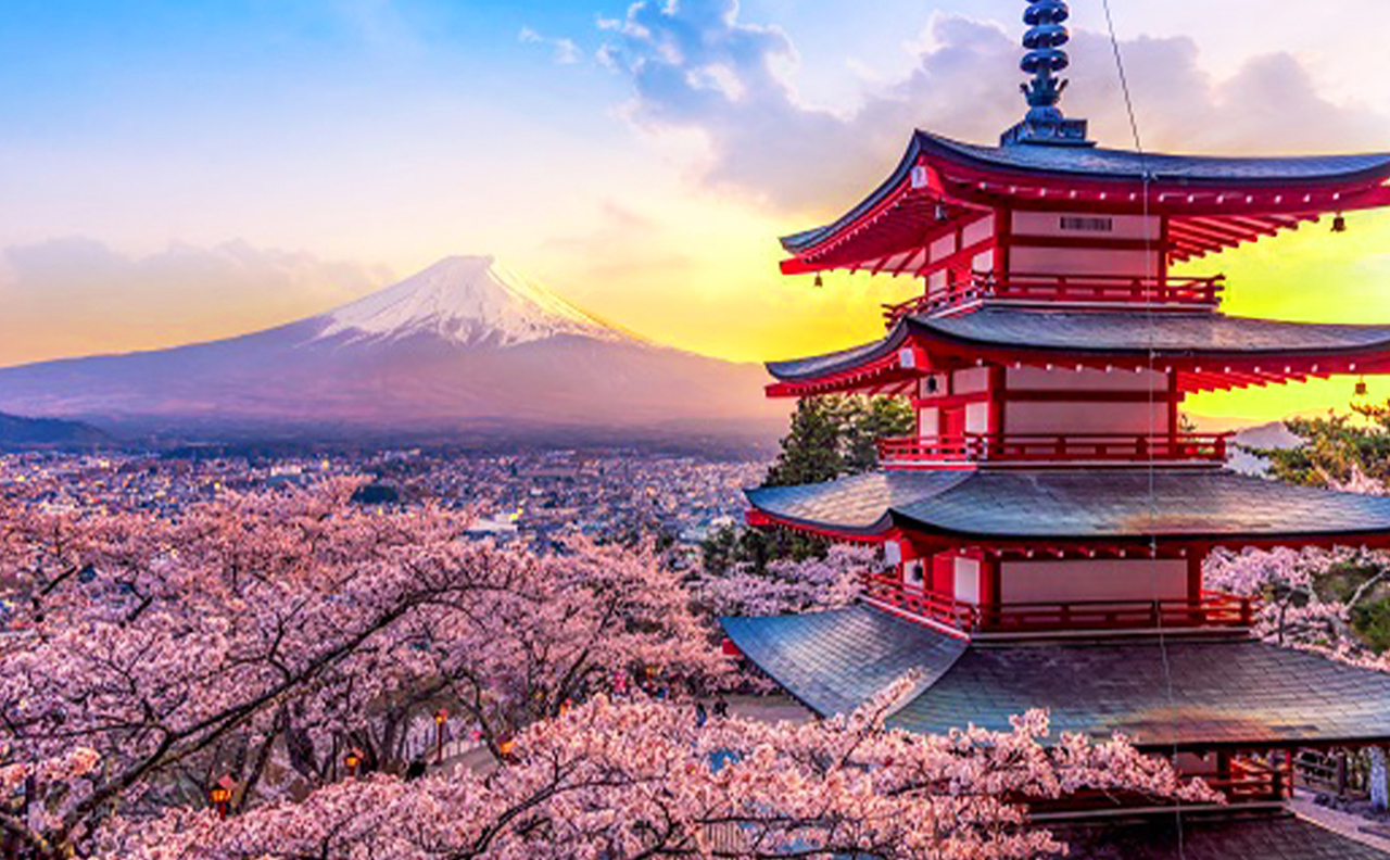 富士山五合+新倉山淺間公園+忍野八海+御殿場奧萊