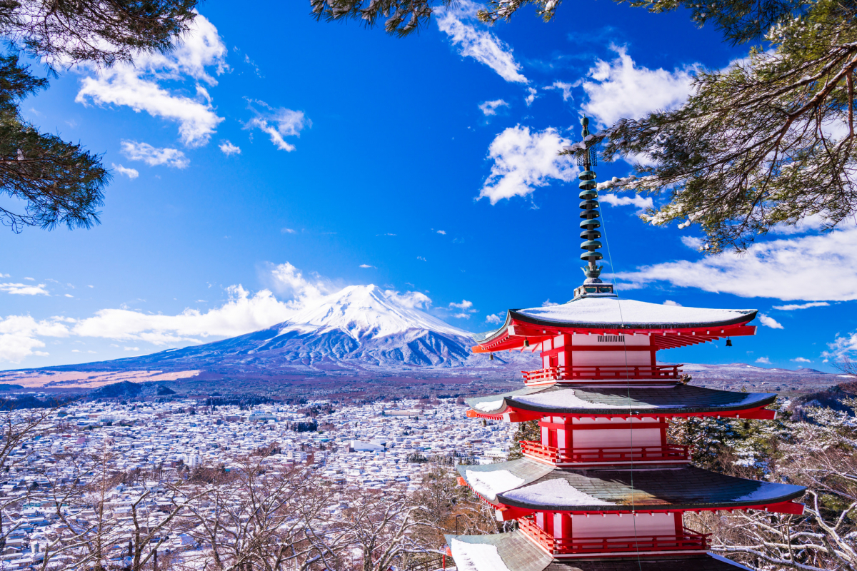 [樱花季限定]富士山箱根赏樱一日游（東京出發）