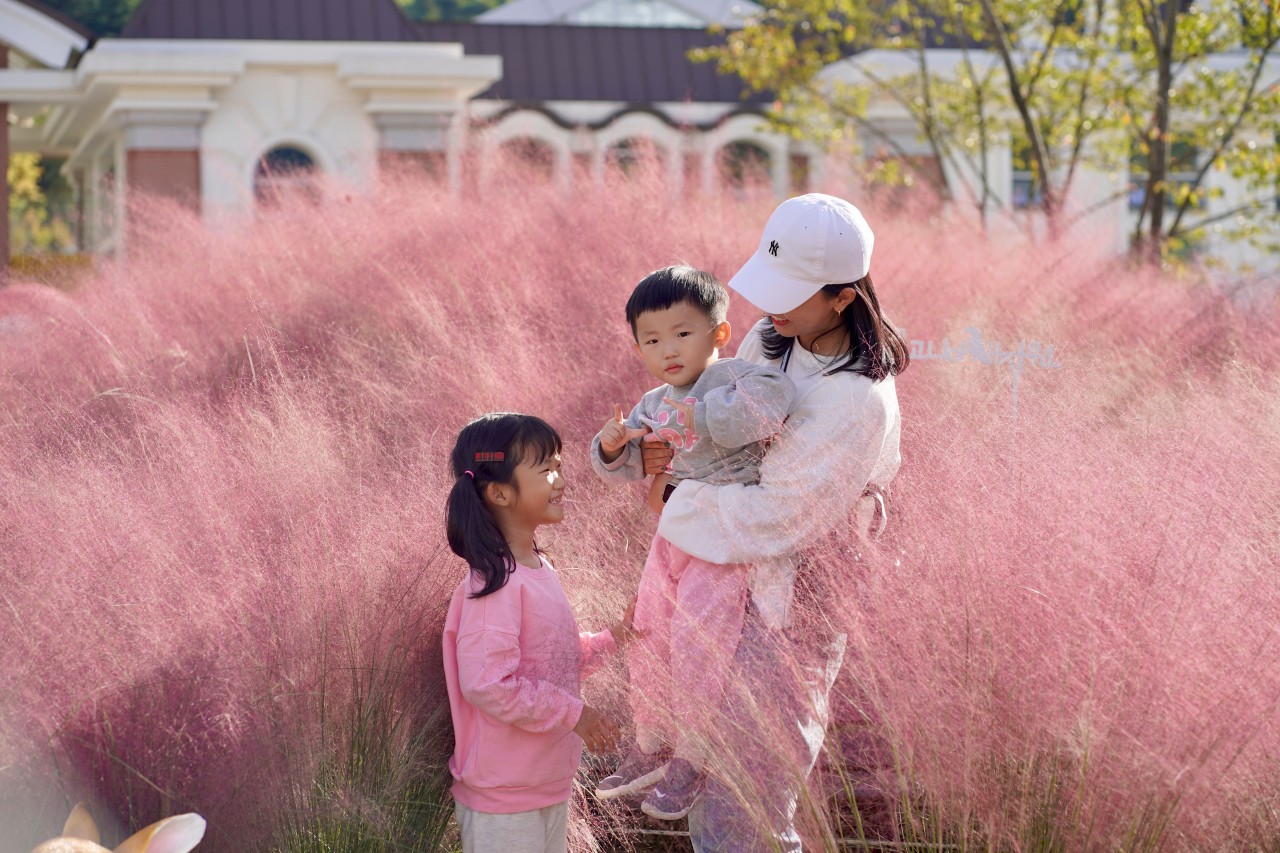 探索秋海棠的迷人魅力,沉浸在色彩與寧靜的世界中。 探索秋海棠的迷人魅力,沉浸在色彩與寧靜的世界中。