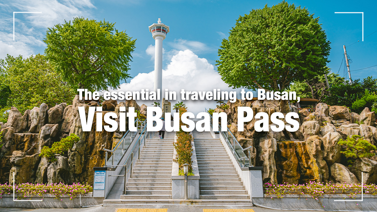 visit busan pass price