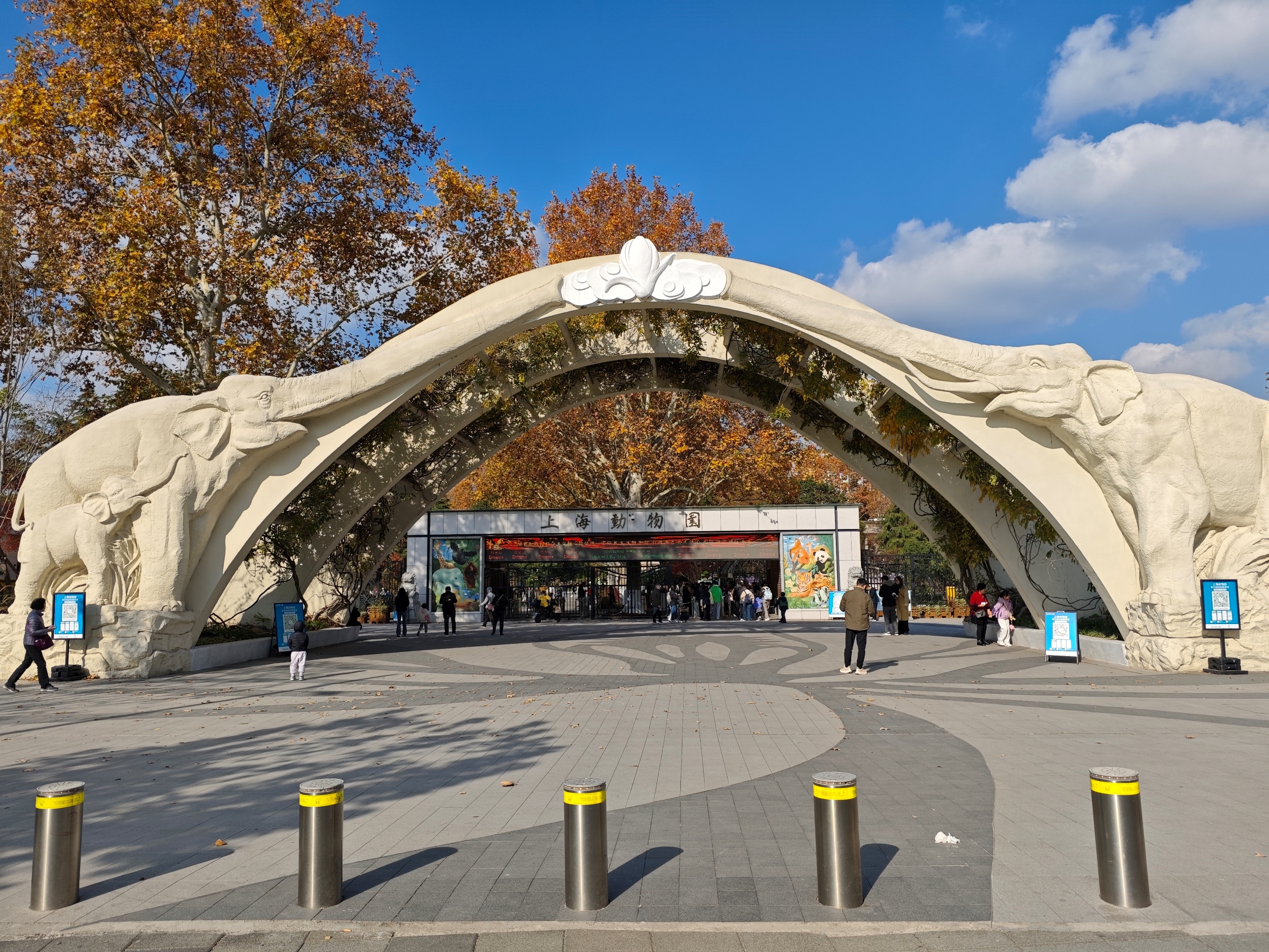 Half-Day Tour of Shanghai Zoo and Panlong Ancient Town