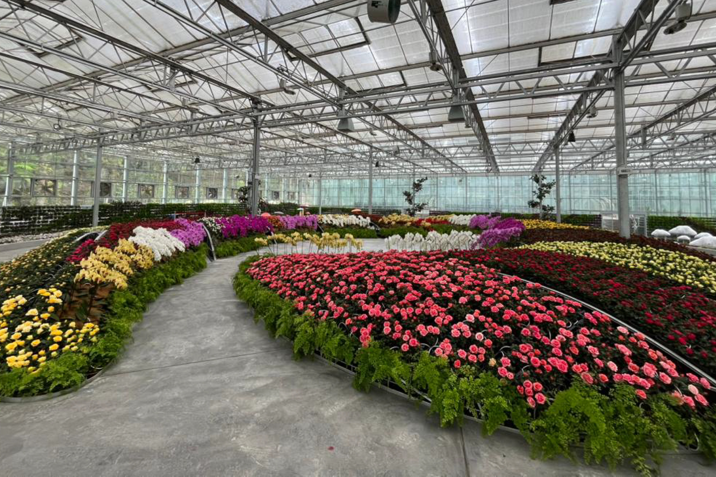 Eufloria Gardens and Sculpture Park in Genting Highlands 