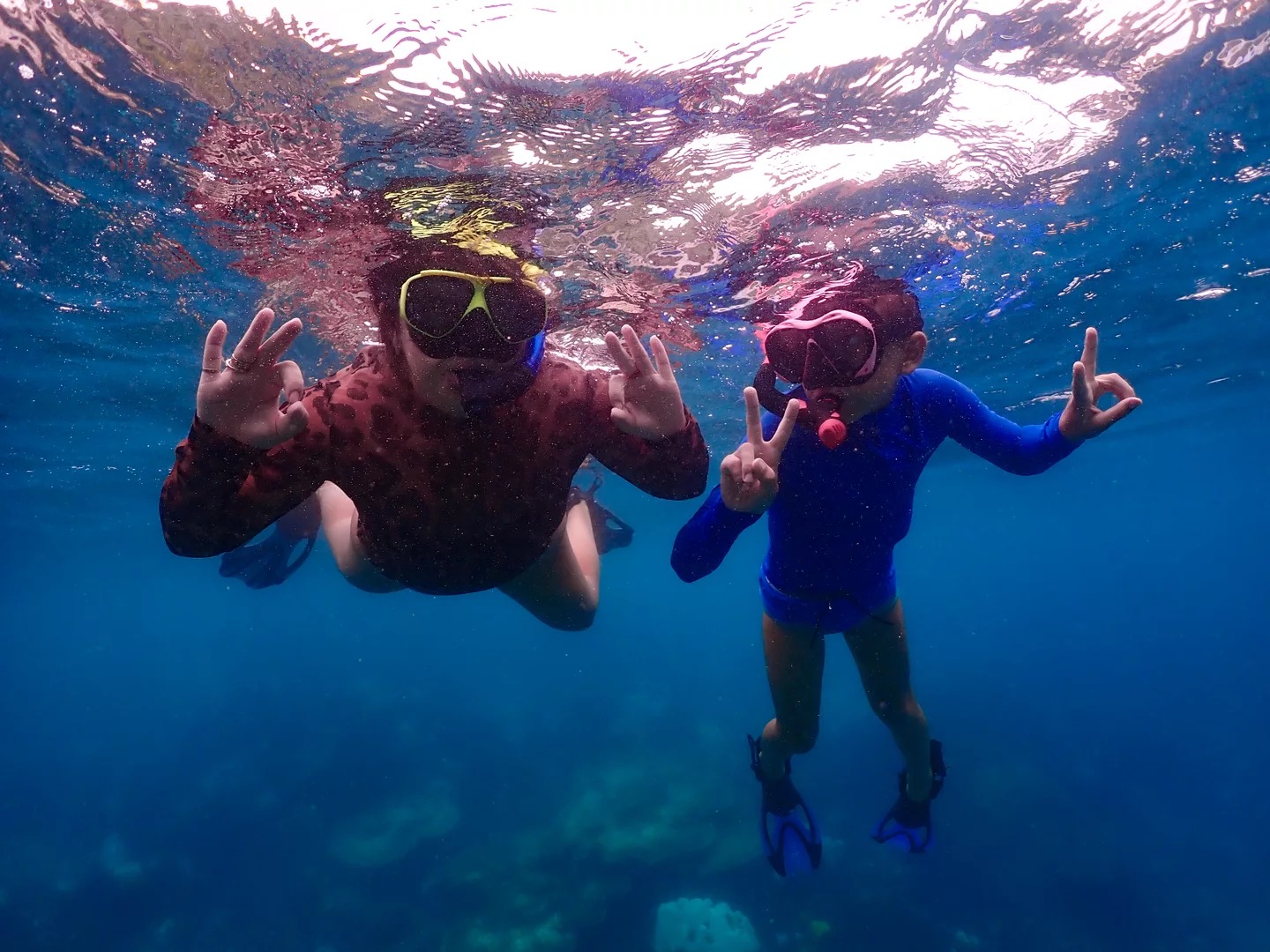 濤島浮潛探索之旅（PADI五星級潛水中心）