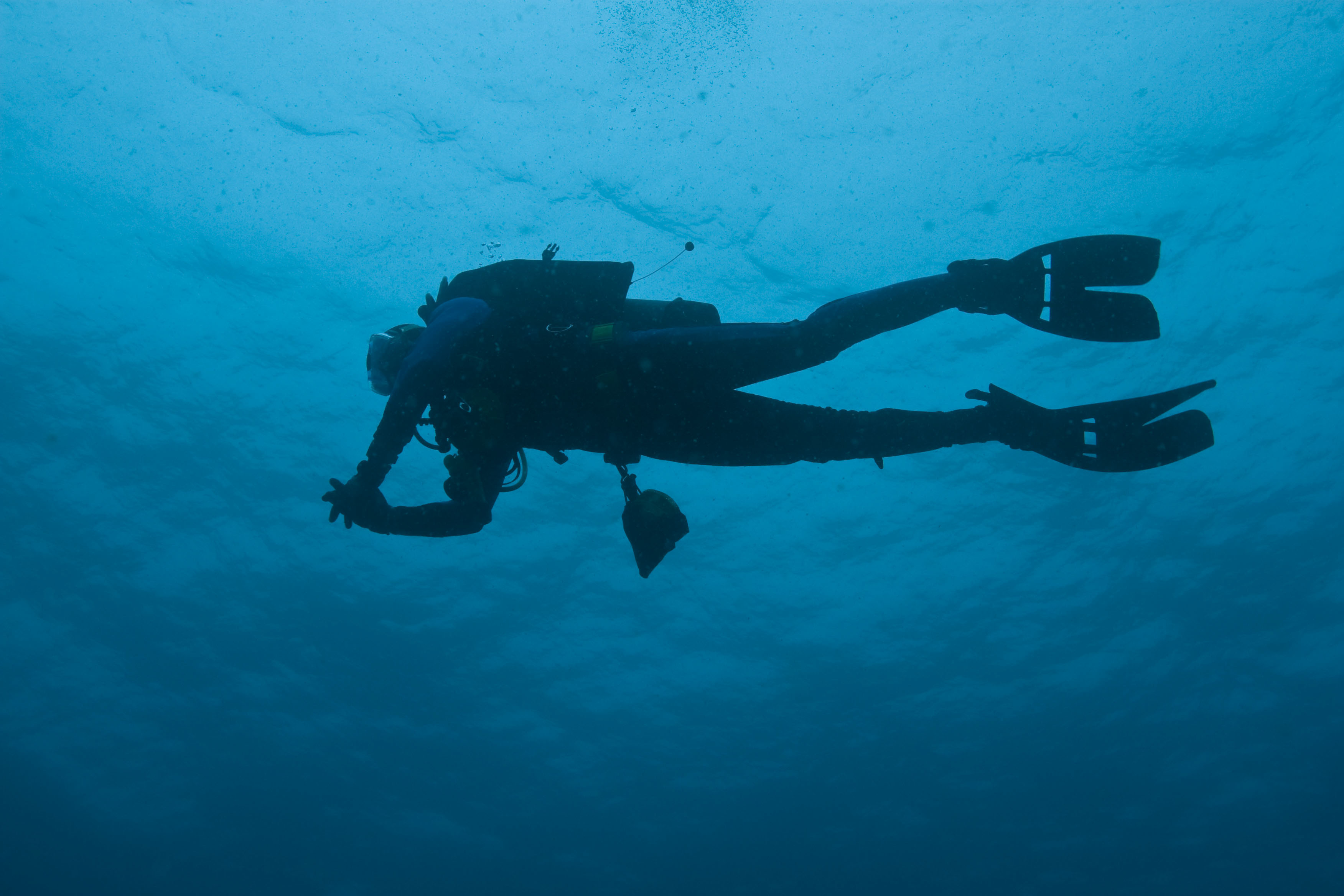 Elevate Your Dive: Nitrox Course in Islamorada with PADI 5* Center