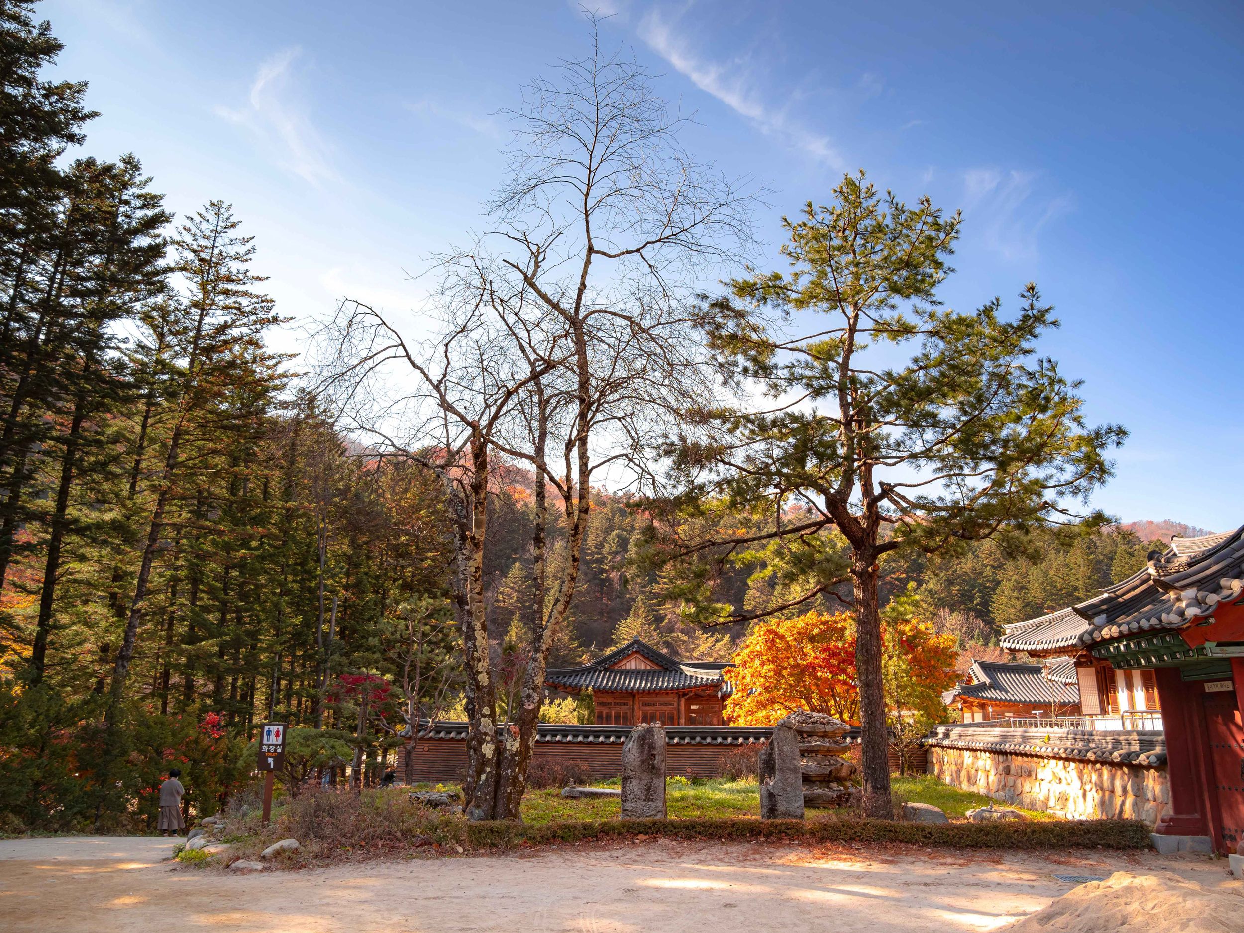 Balwangsan Cable Car from Seoul: Scenic Highland Views&Forest Trails
