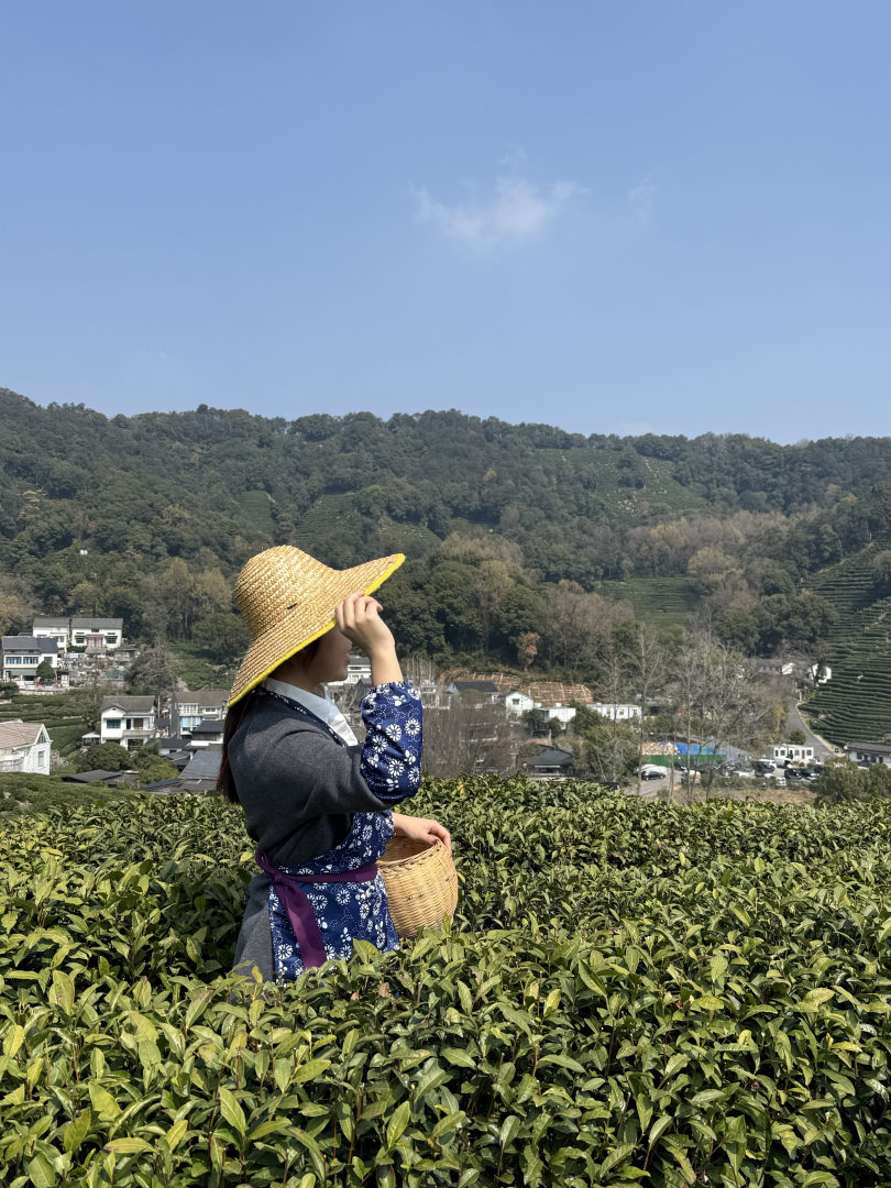 茶園拍照