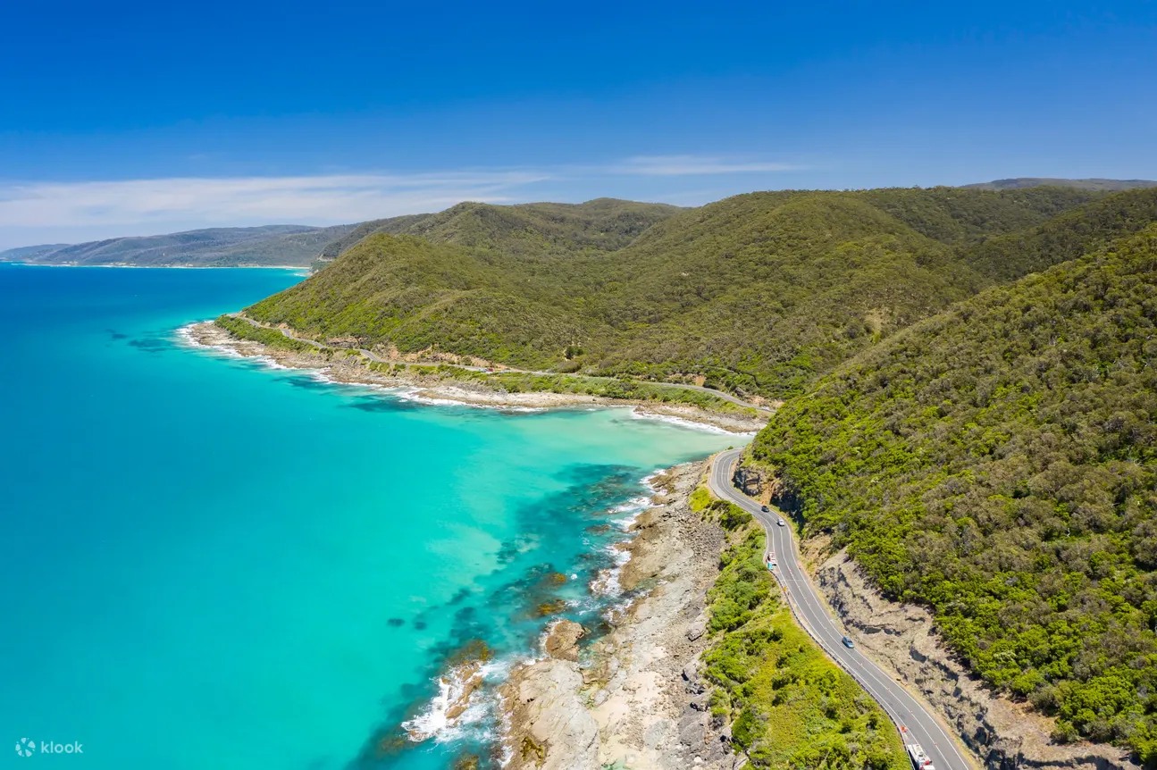 大洋路 (Great Ocean Road) 十二使徒岩 (12 Apostles) 袋鼠與無尾熊之旅