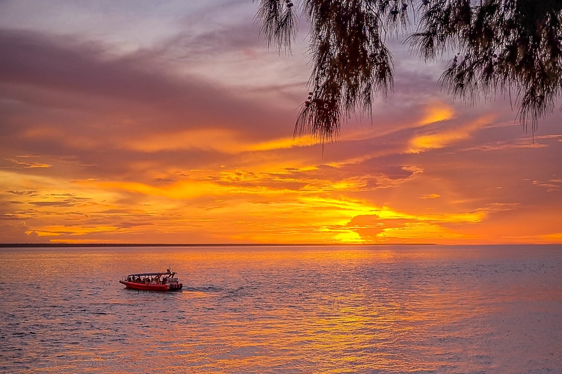 Darwin Sunset Cruise with Fish and Chips