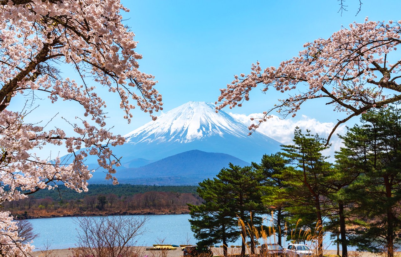 富士山三湖｜河口湖·山中湖·精進湖“抱子富士”一日遊｜東京/新宿出發