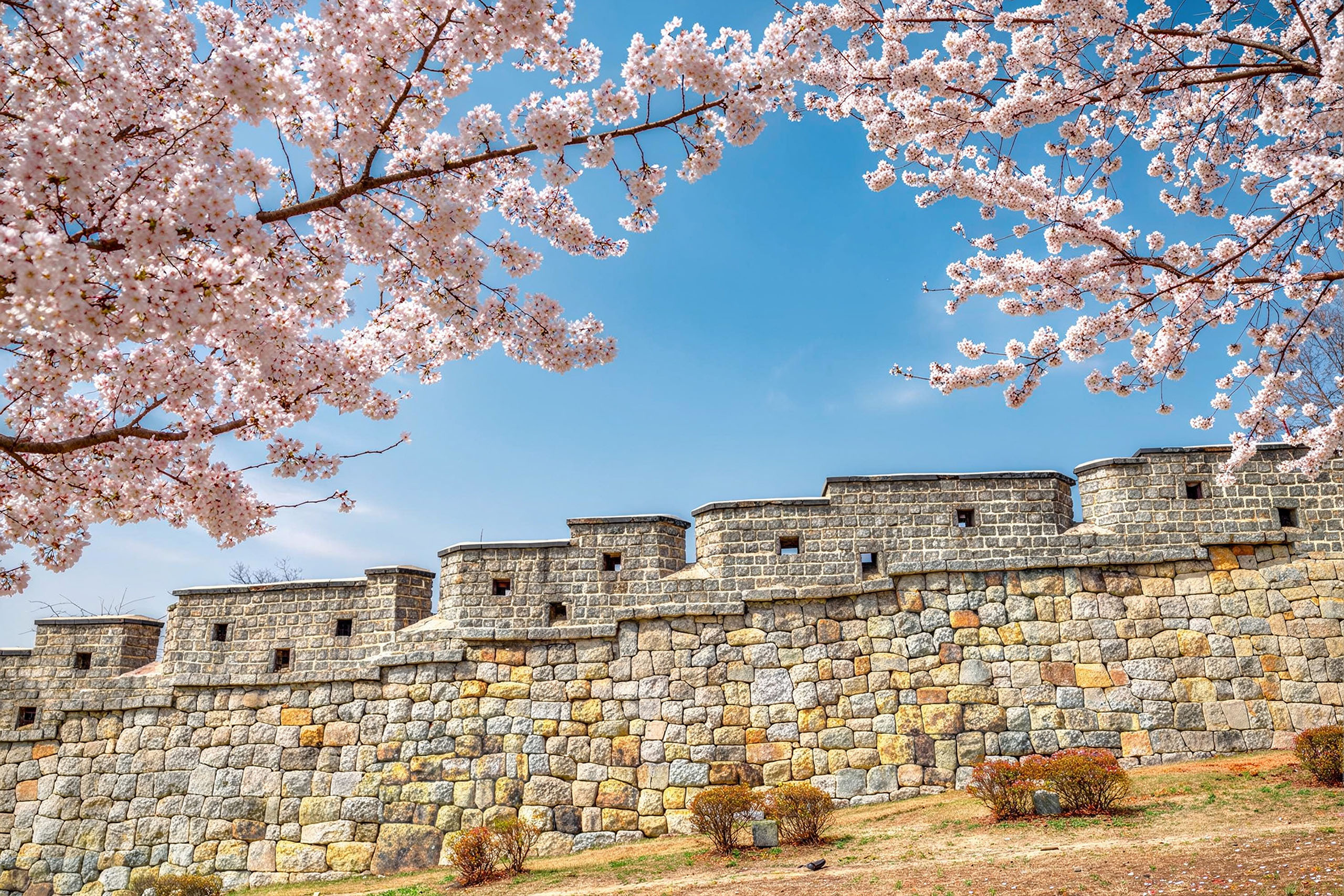 深入探索水原華城每個角落,在傳統韓屋背景下拍下難忘美照。 深入探索水原華城每個角落,在傳統韓屋背景下拍下難忘美照。