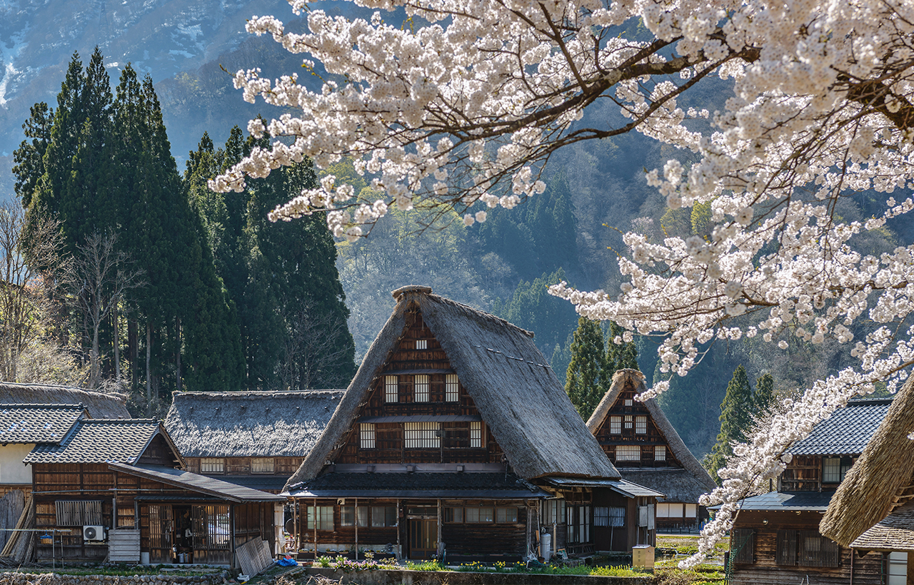 飛驒高山&白川鄉合掌村落&宮川朝市&古街漫步