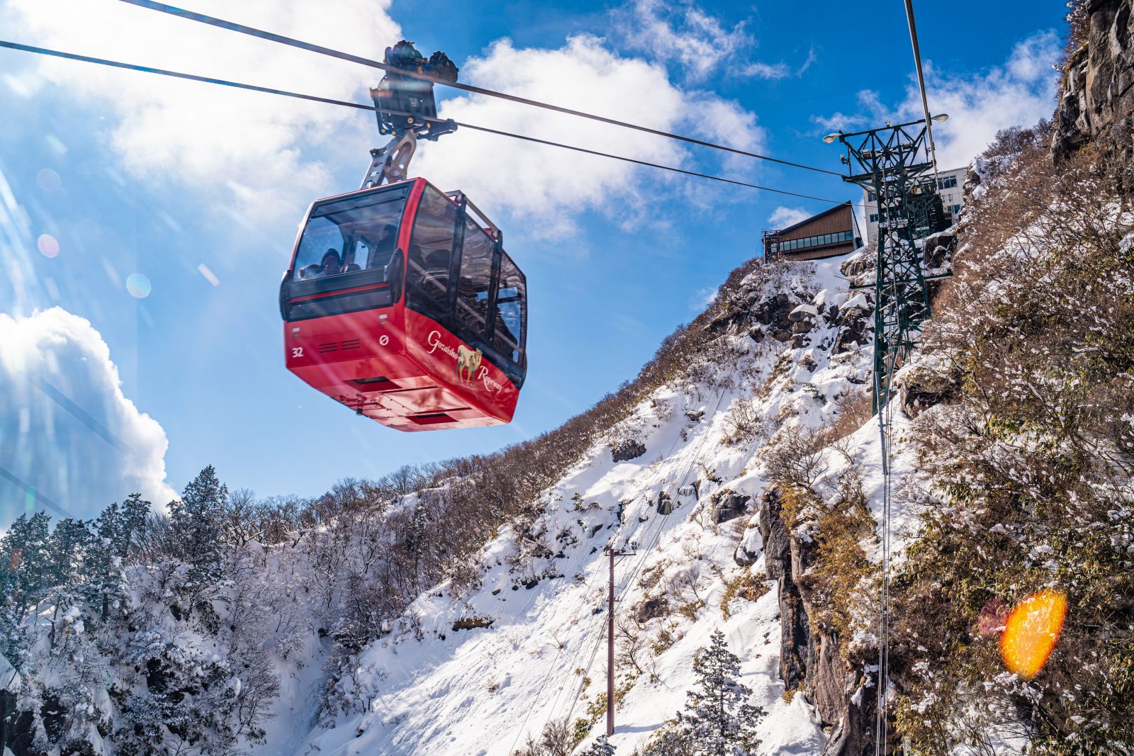 2024 Mt. Gozai & Nabana no Sato Light Up Day Tour from Osaka