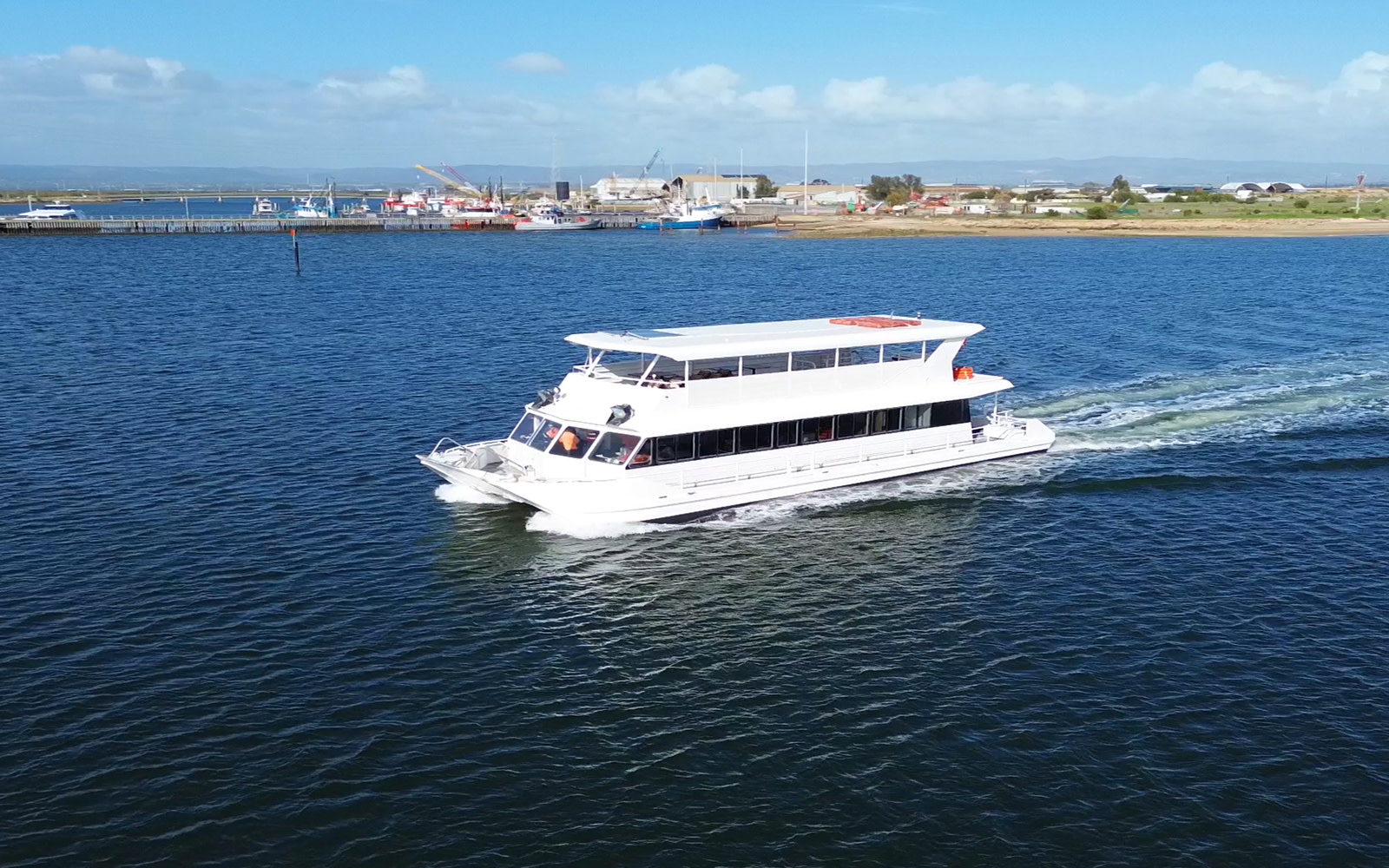 2 Hours Port River Dolphin and Maritime Cruise
