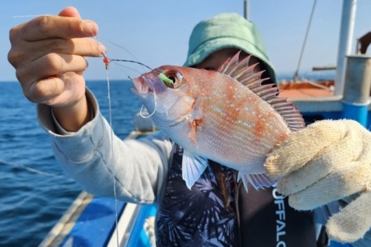 济州岛海钓之旅（含午餐）