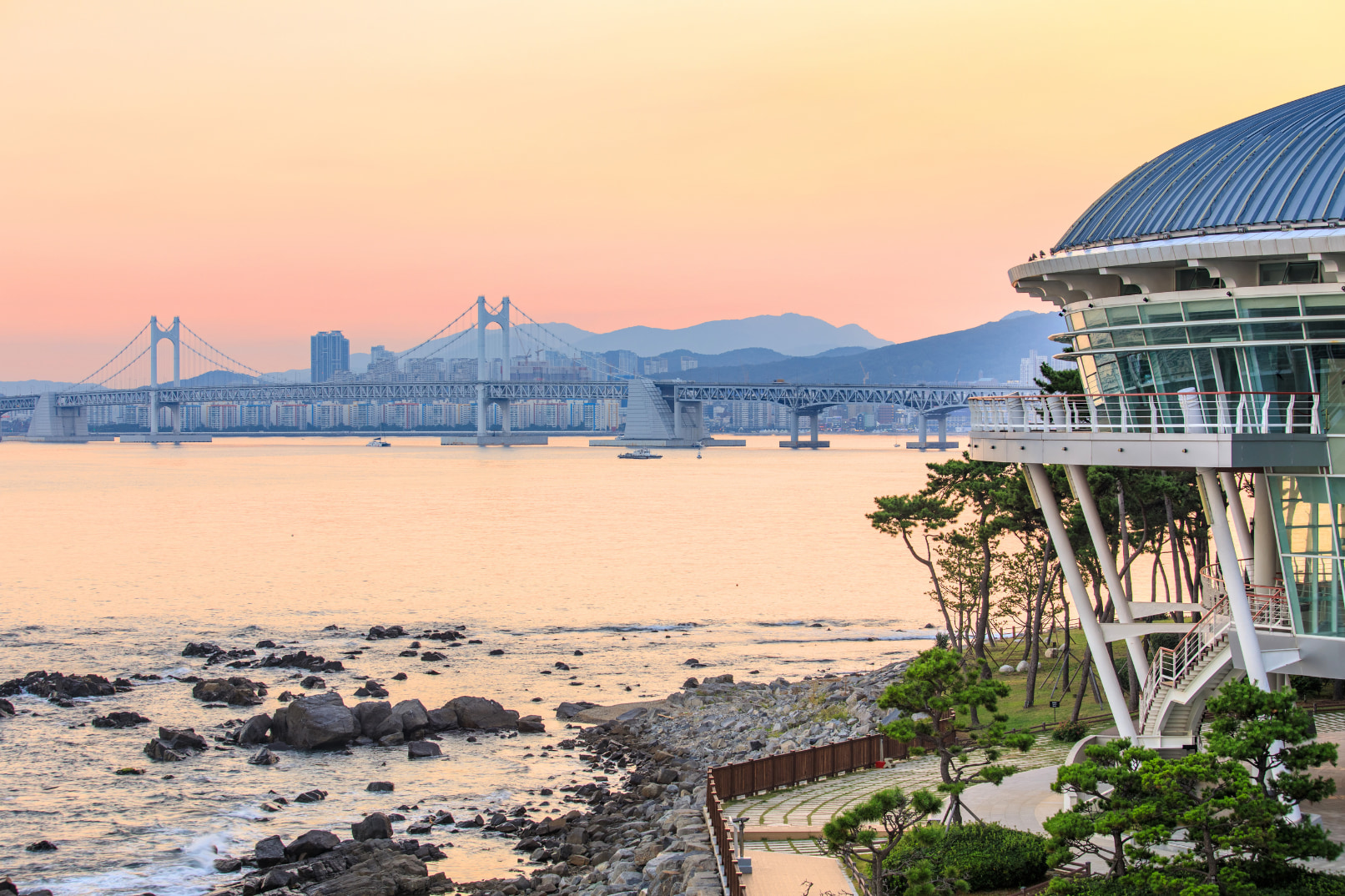 冬柏公園是海雲臺海水浴場旁的一座海岸公園，原為一座島嶼，經過數百年泥沙堆積後與陸地相連，因山坡上遍佈冬柏樹林而得名。